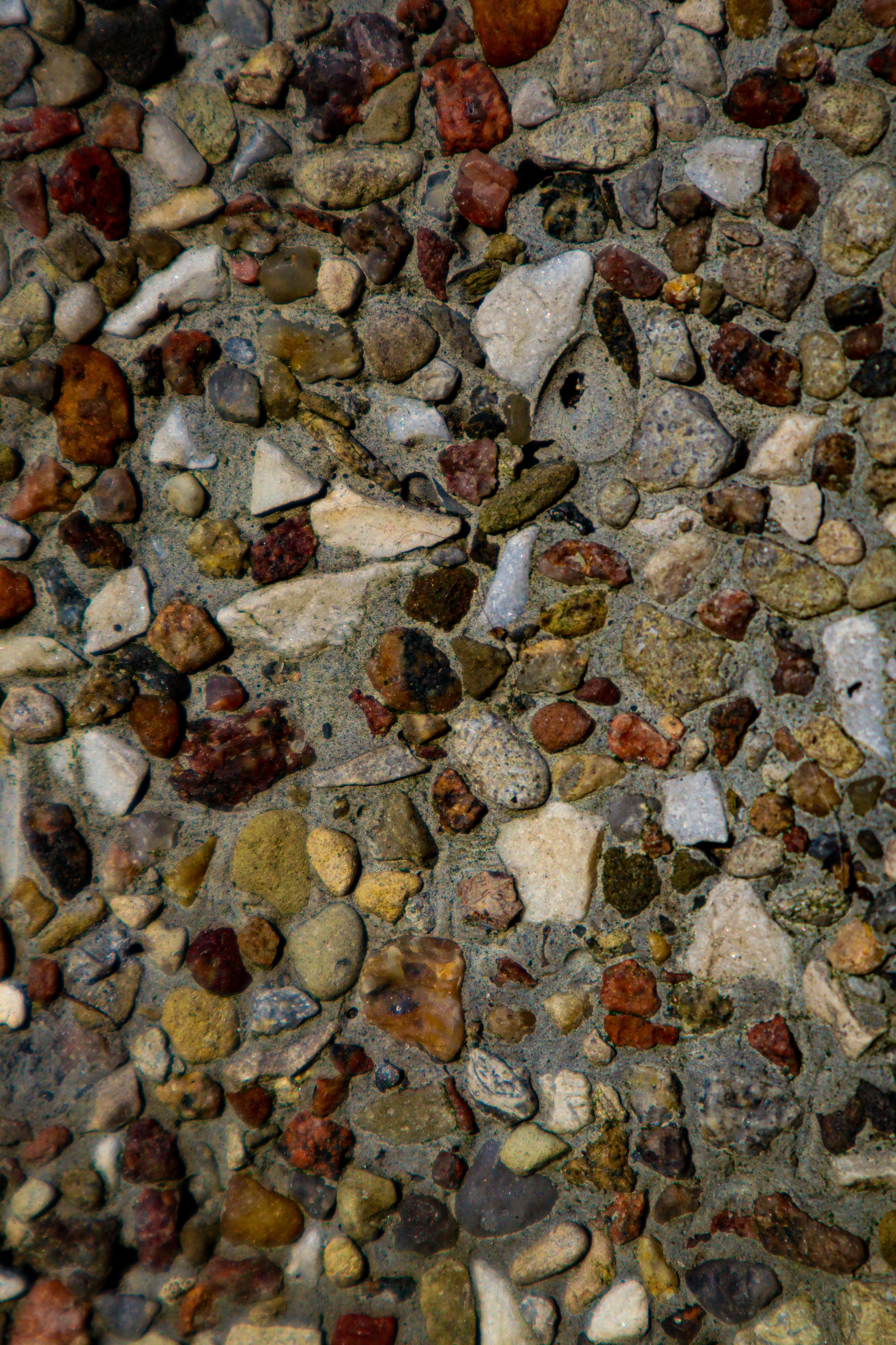 Photo by mugabo_library