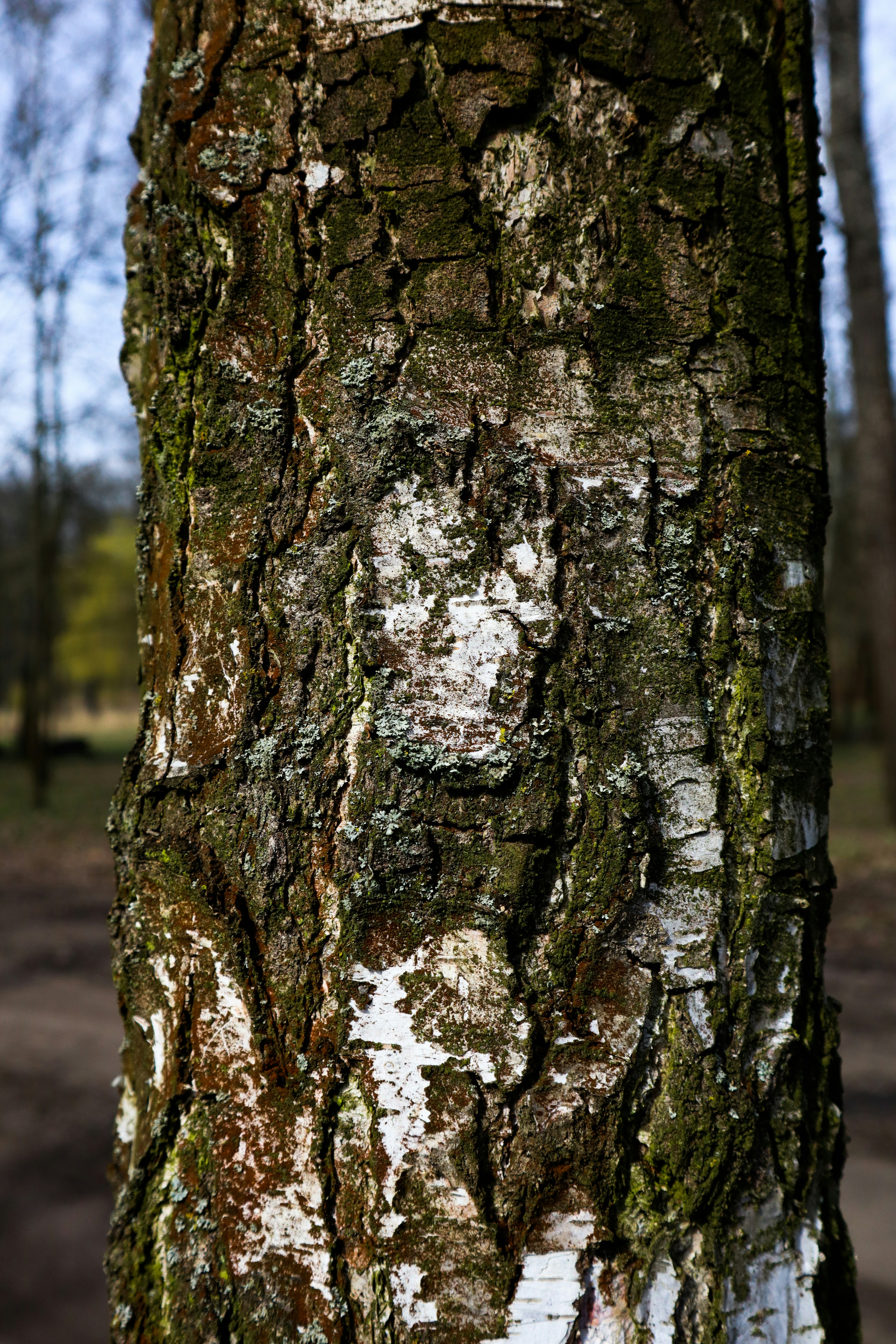 Photo by mugabo_library