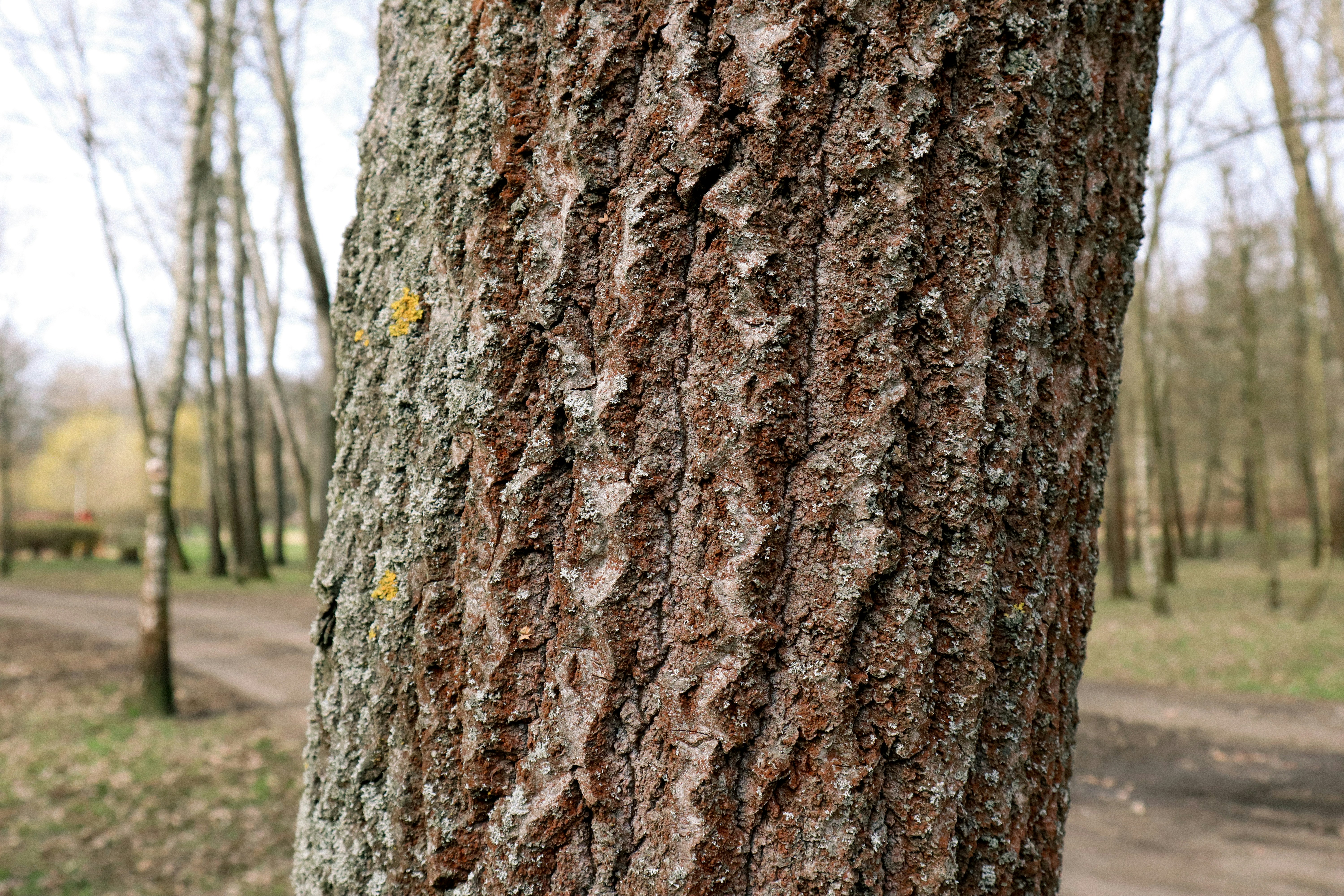 Photo by mugabo_library