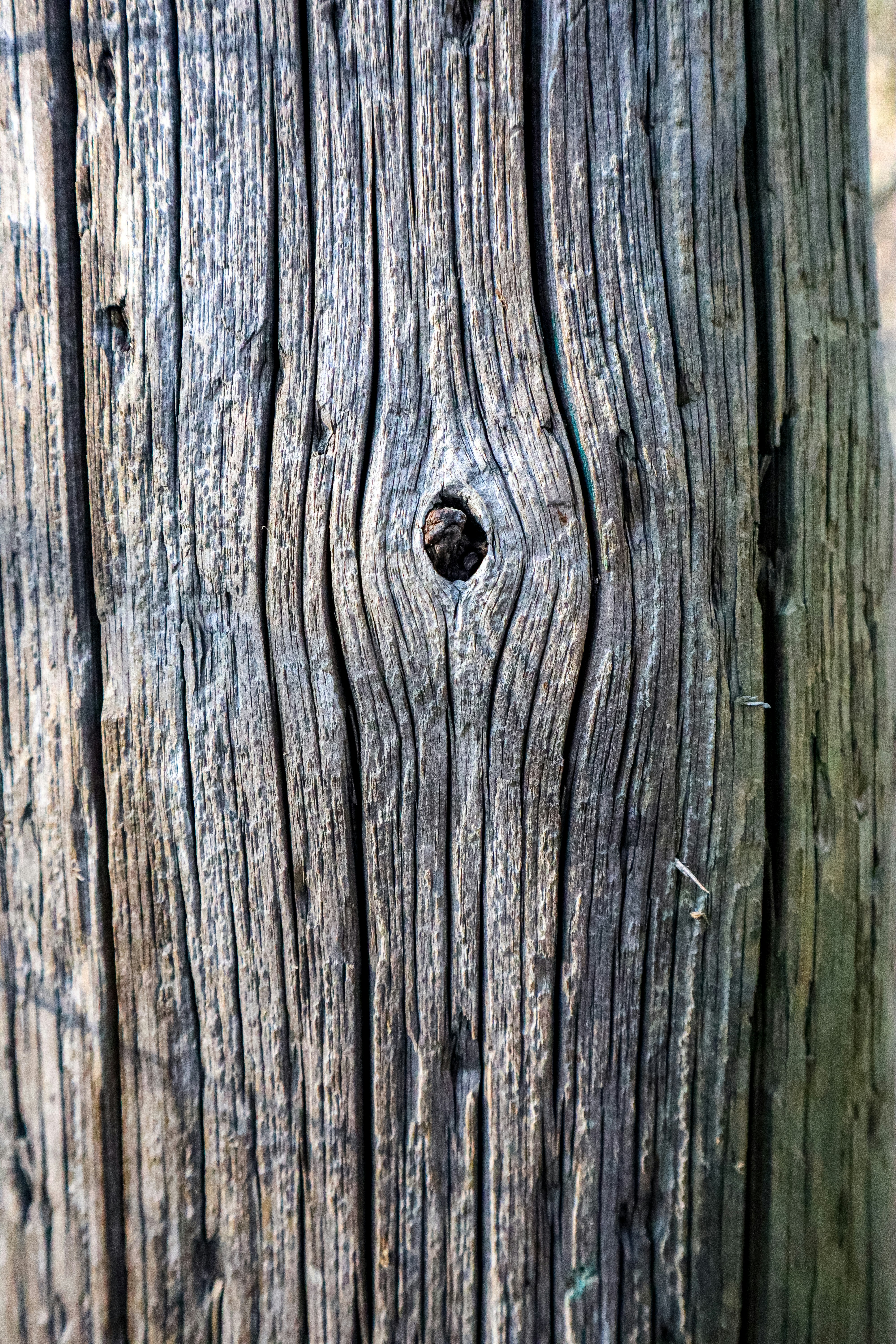 Photo by mugabo_library