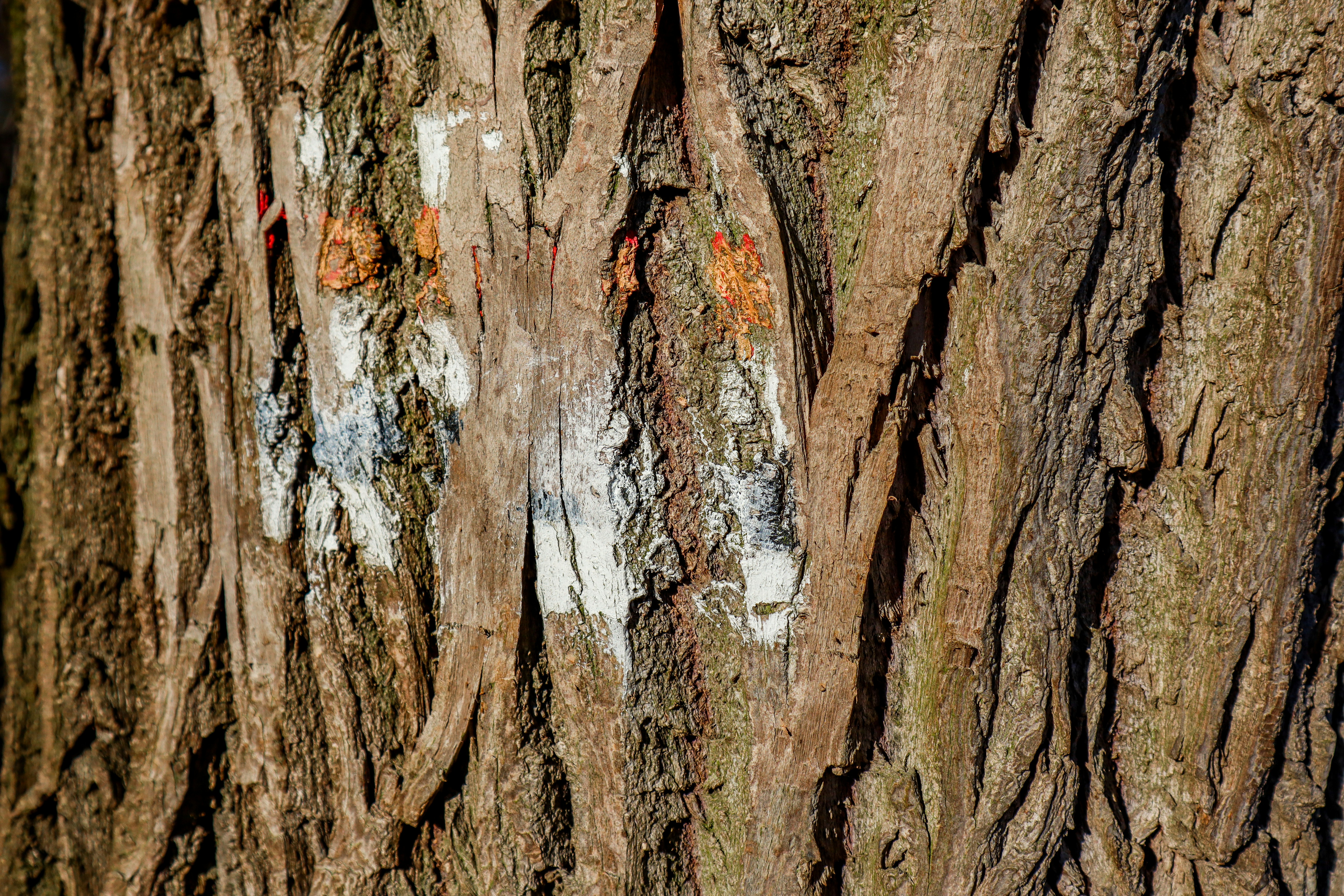 Photo by mugabo_library