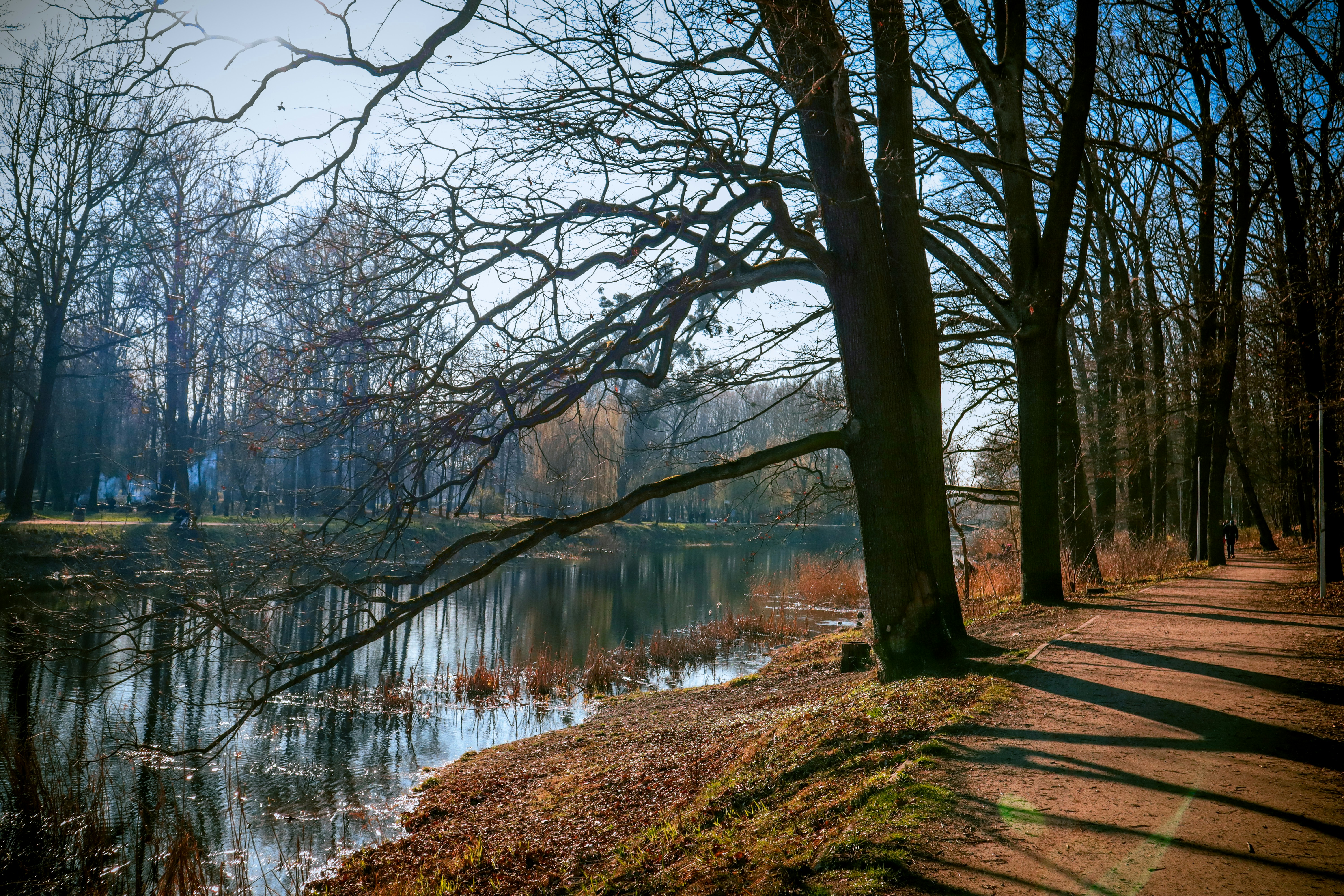 Photo by mugabo_library