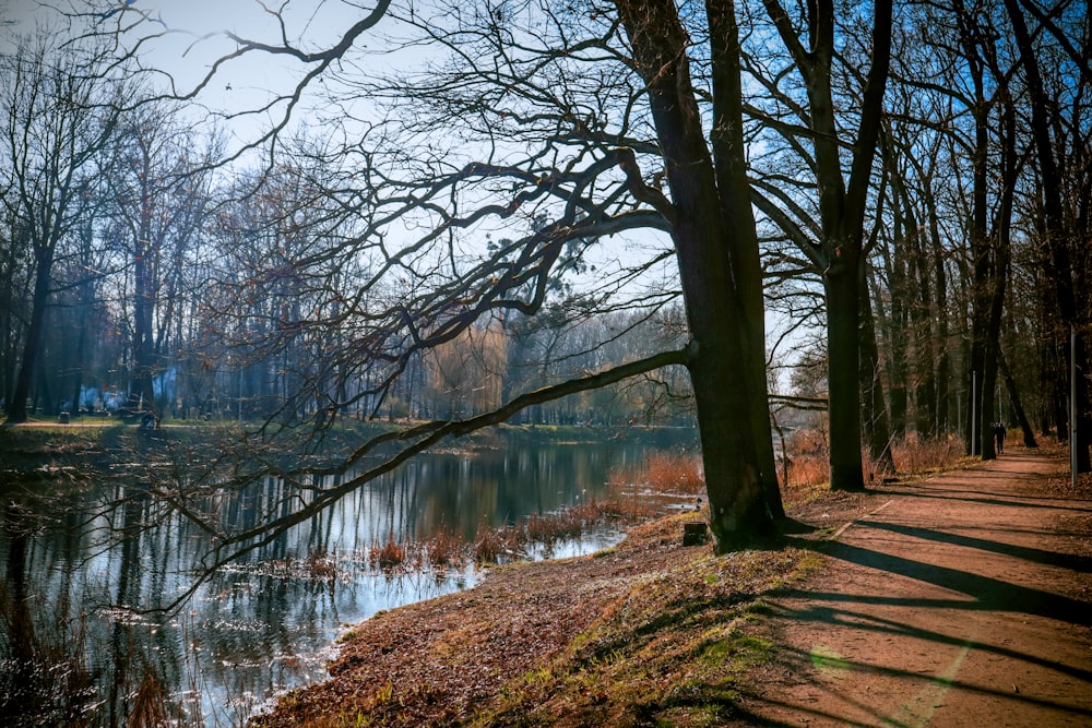 a path that is next to a body of water