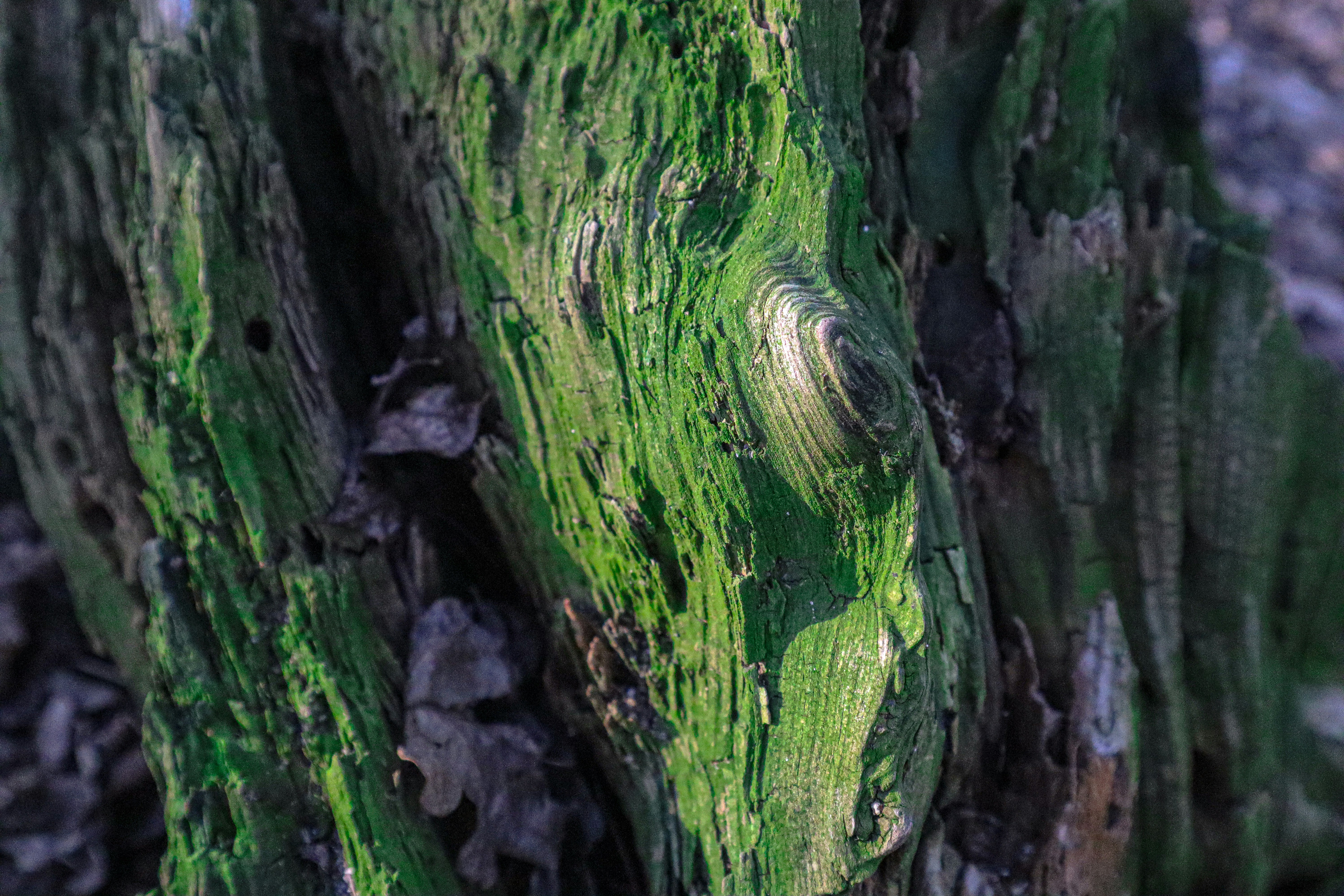 Photo by mugabo_library