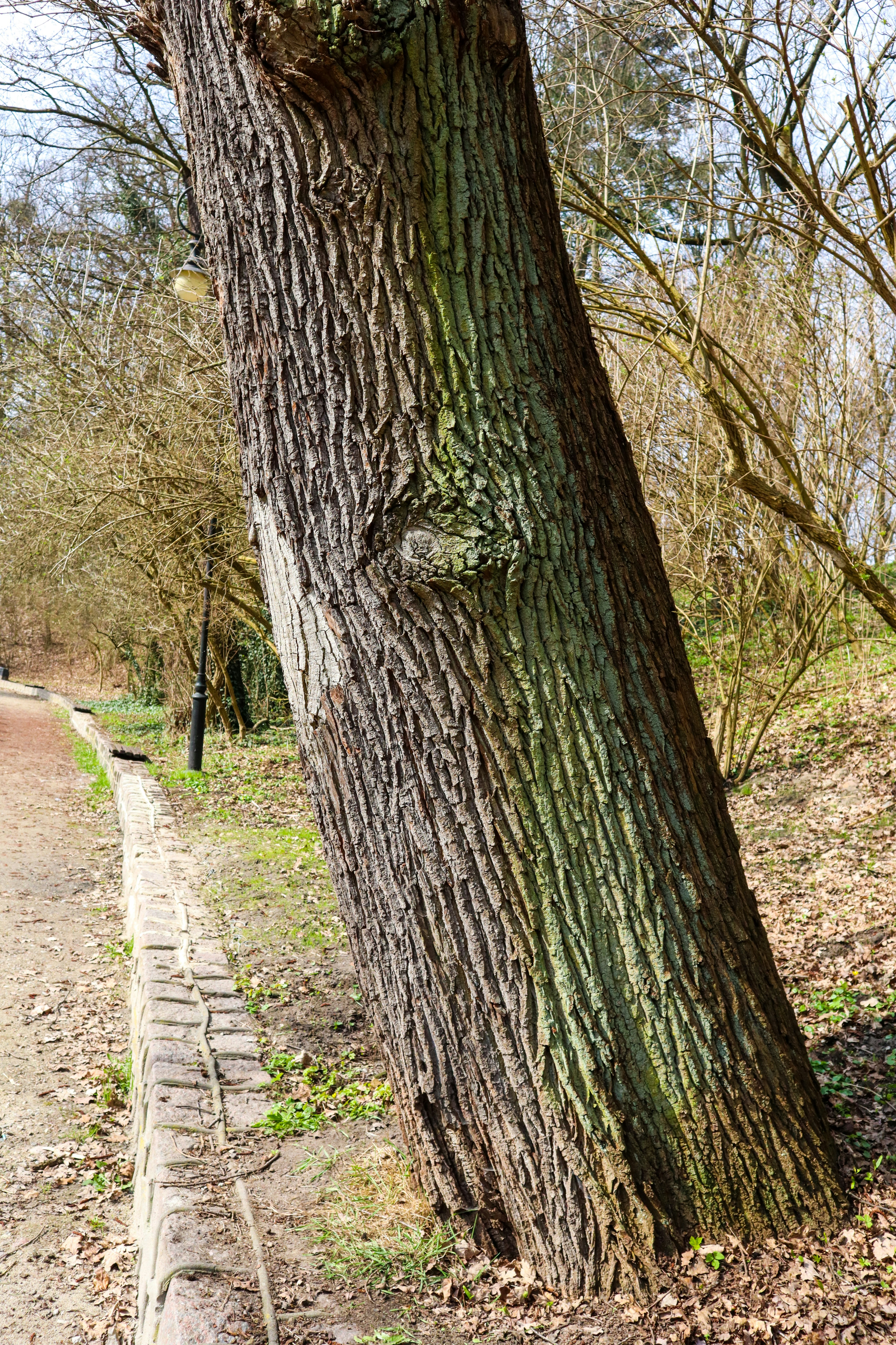 Photo by mugabo_library