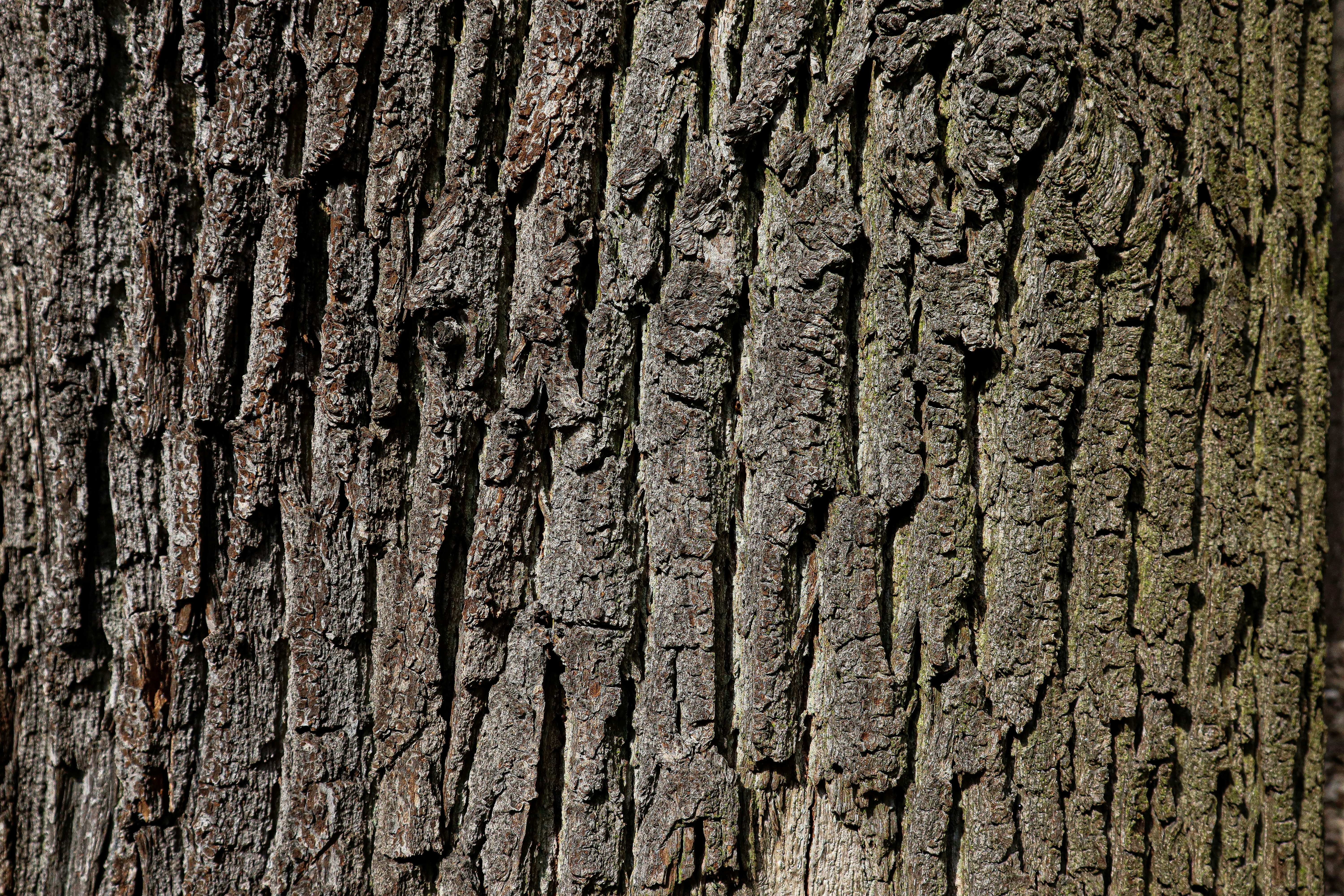 Photo by mugabo_library