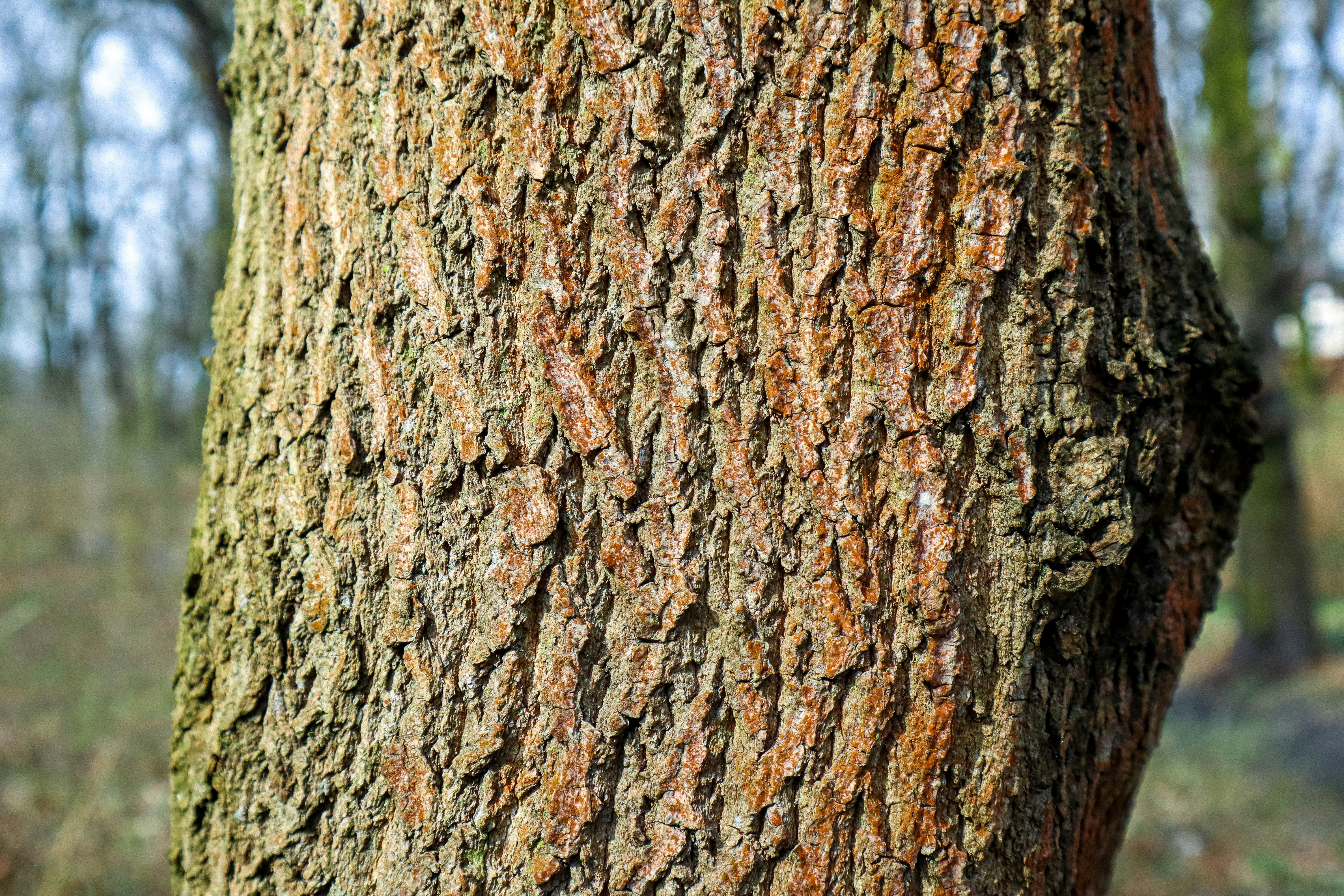 Photo by mugabo_library