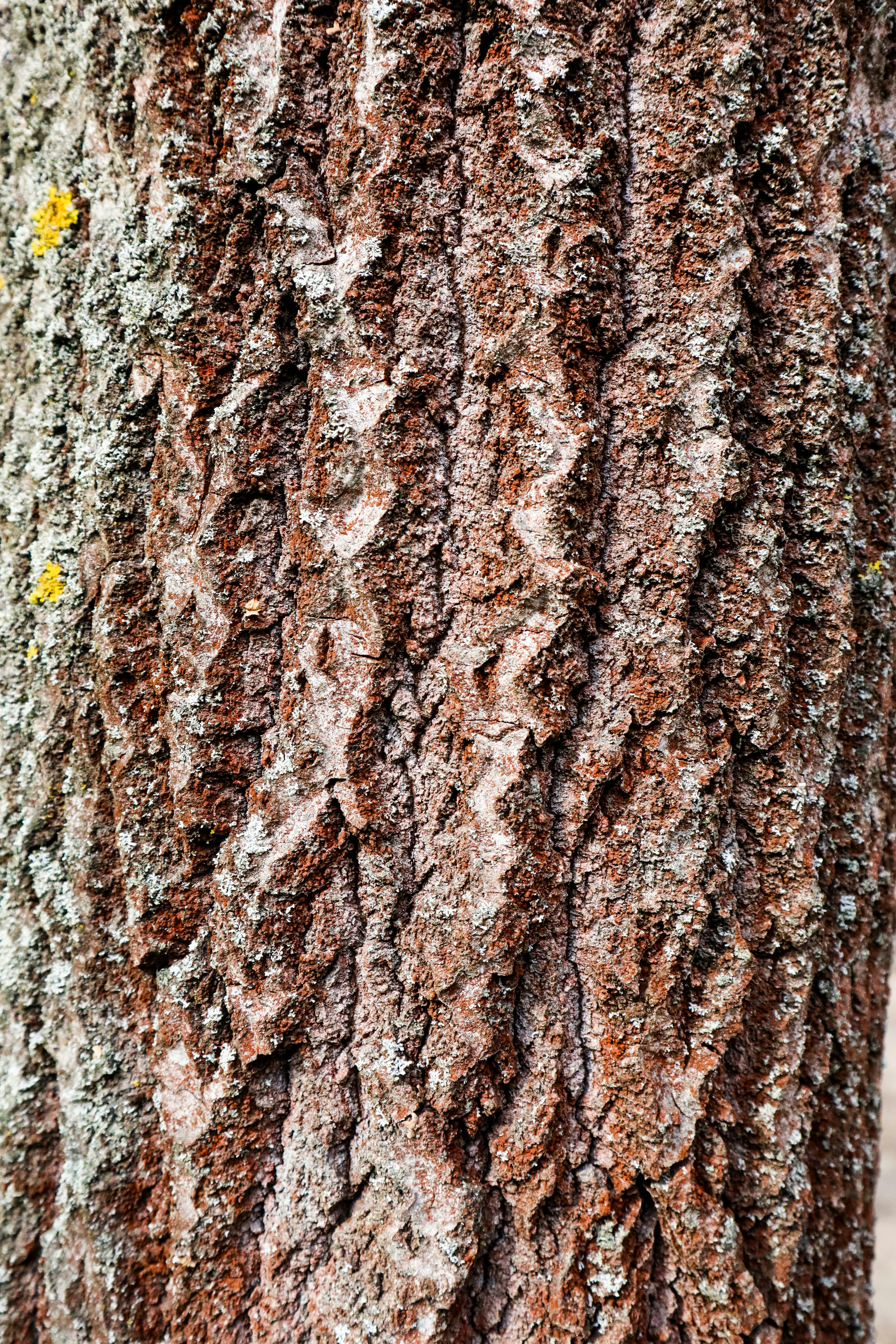 Photo by mugabo_library