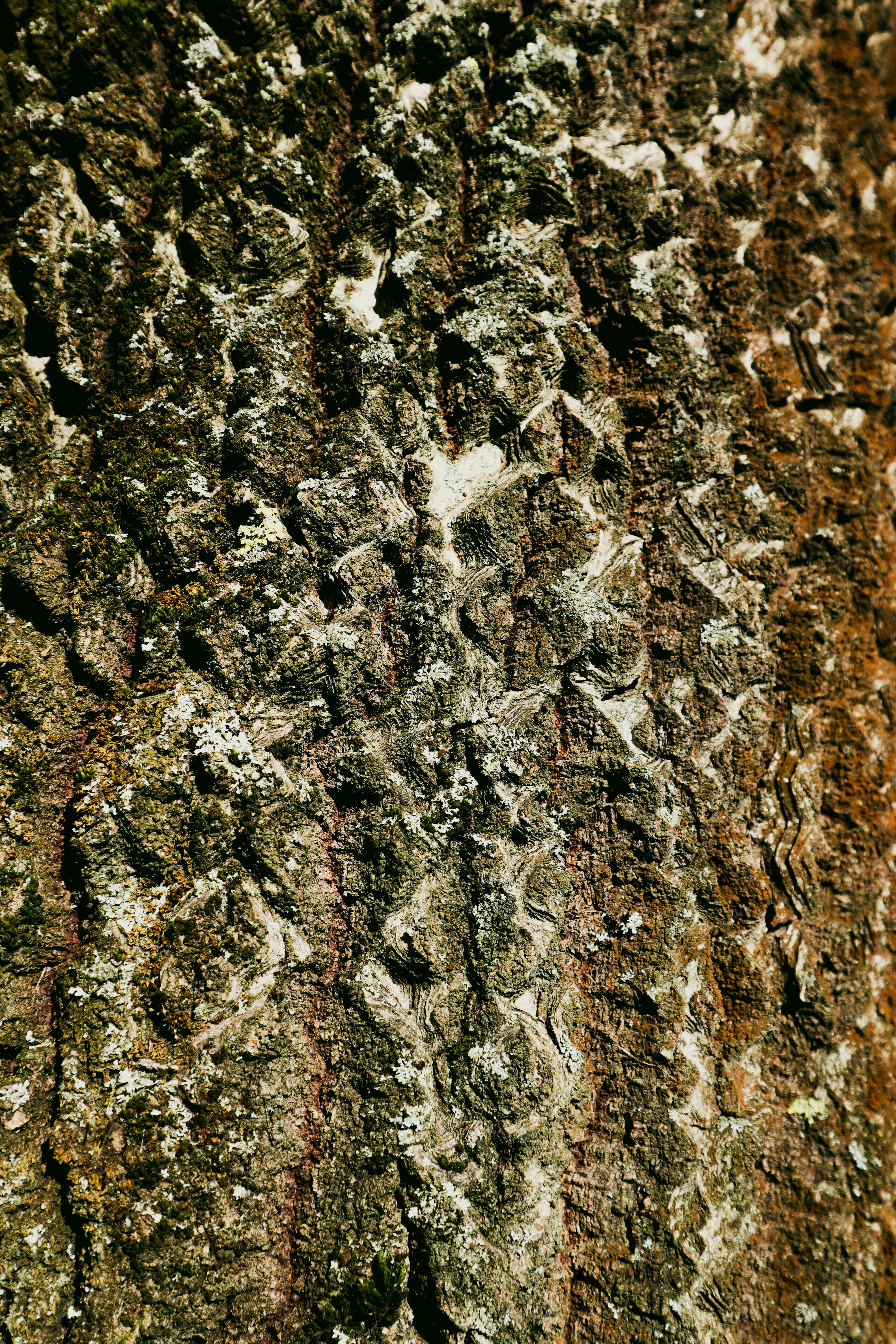 Photo by mugabo_library