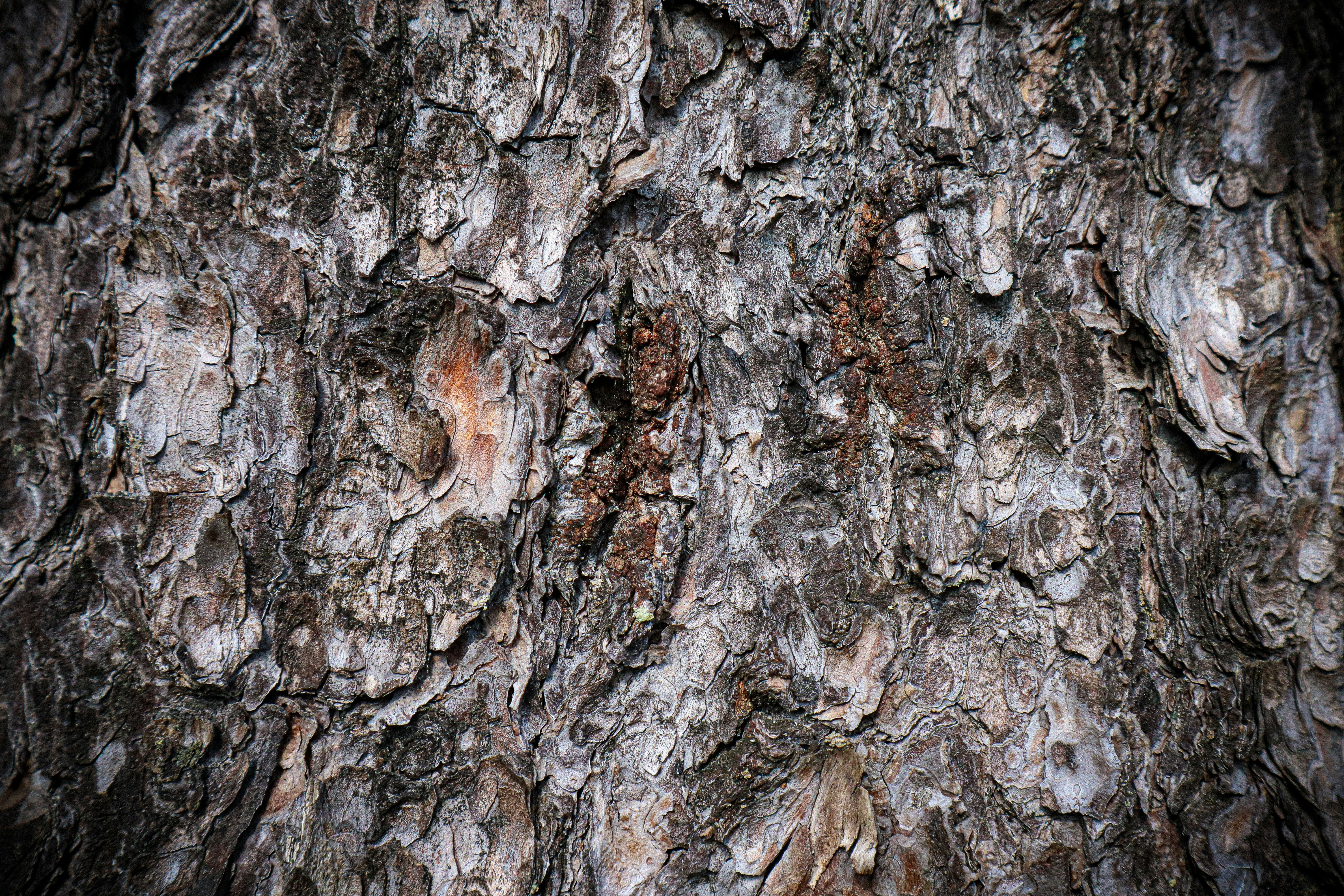 Photo by mugabo_library