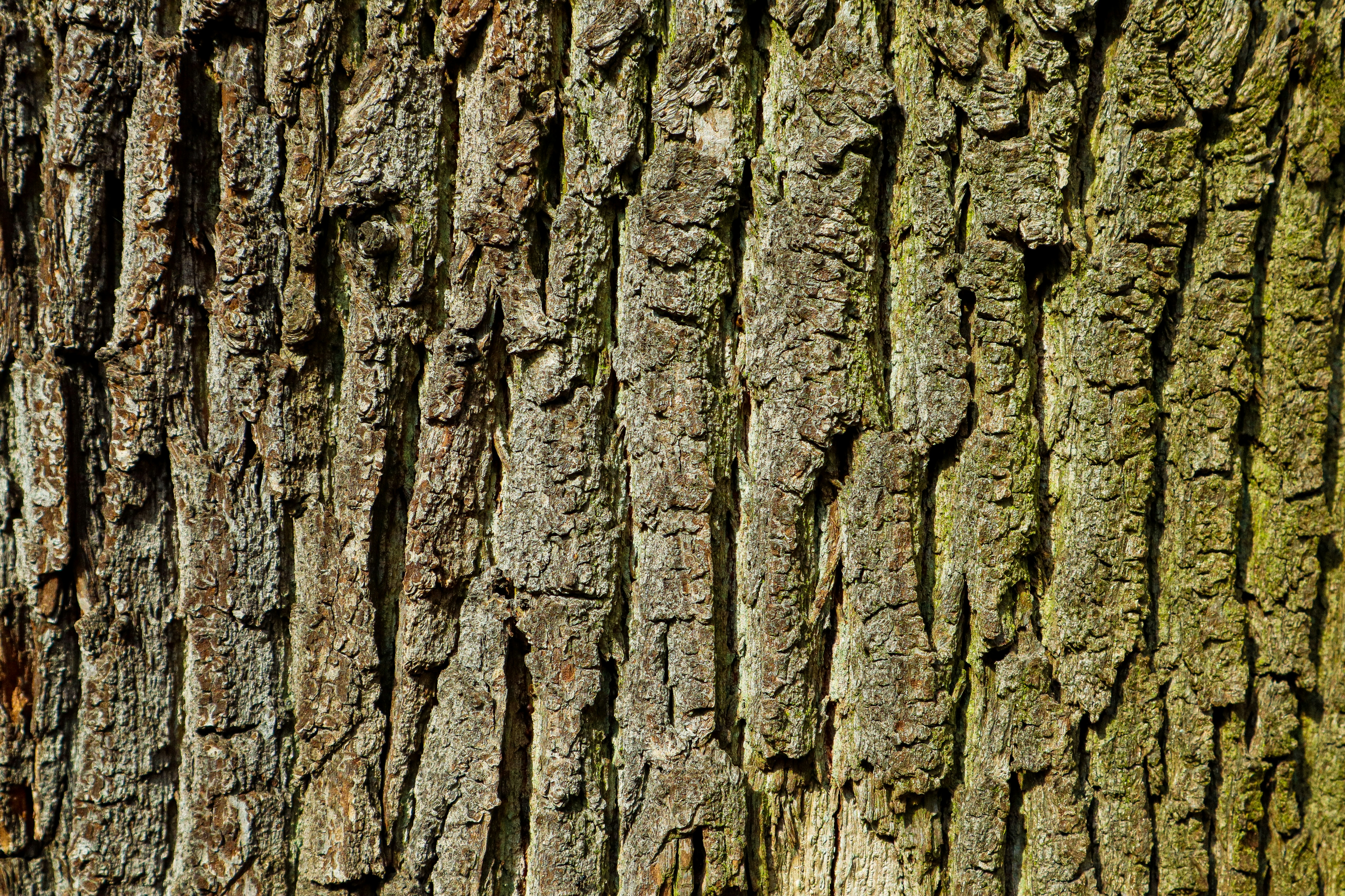 Photo by mugabo_library