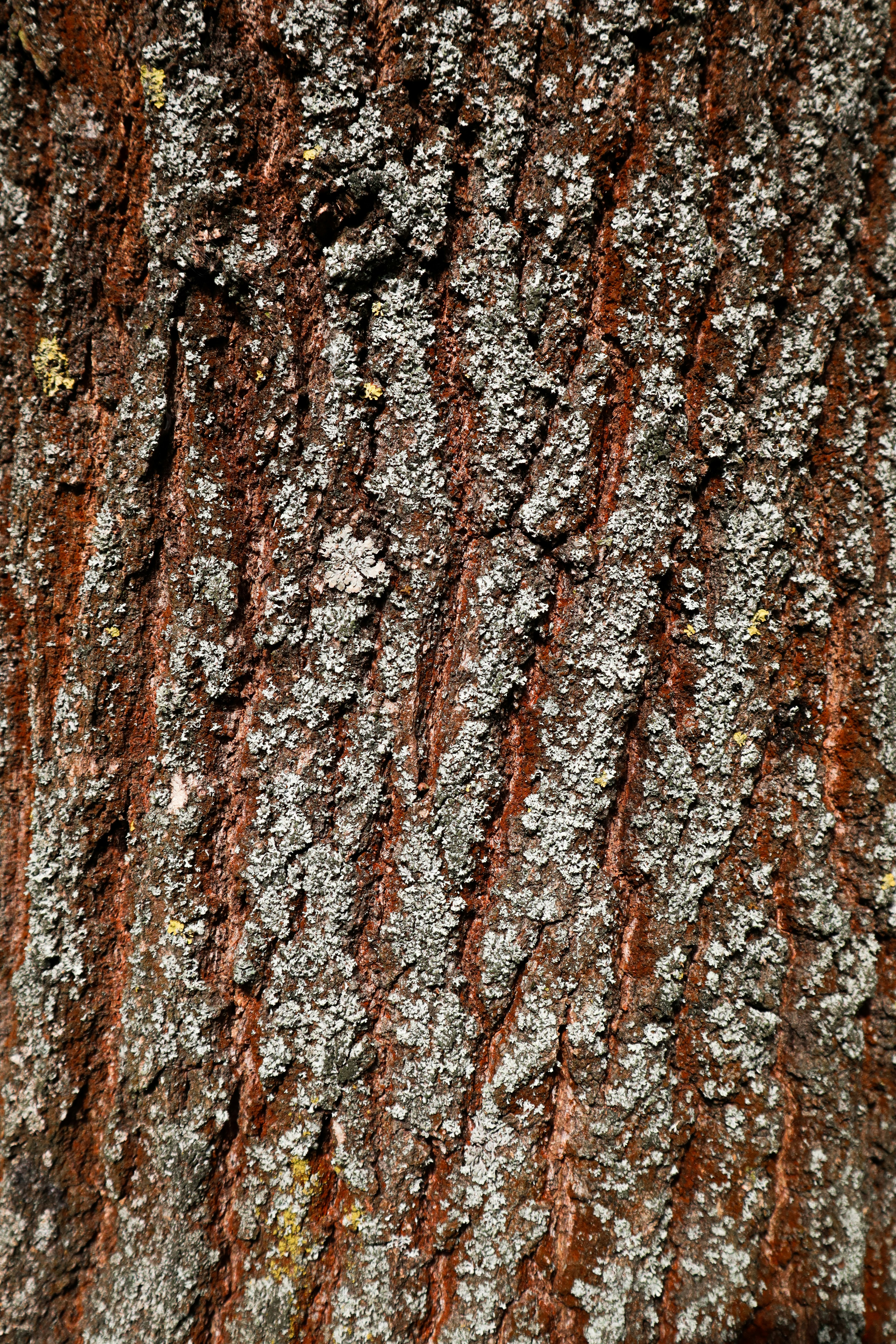 Photo by mugabo_library