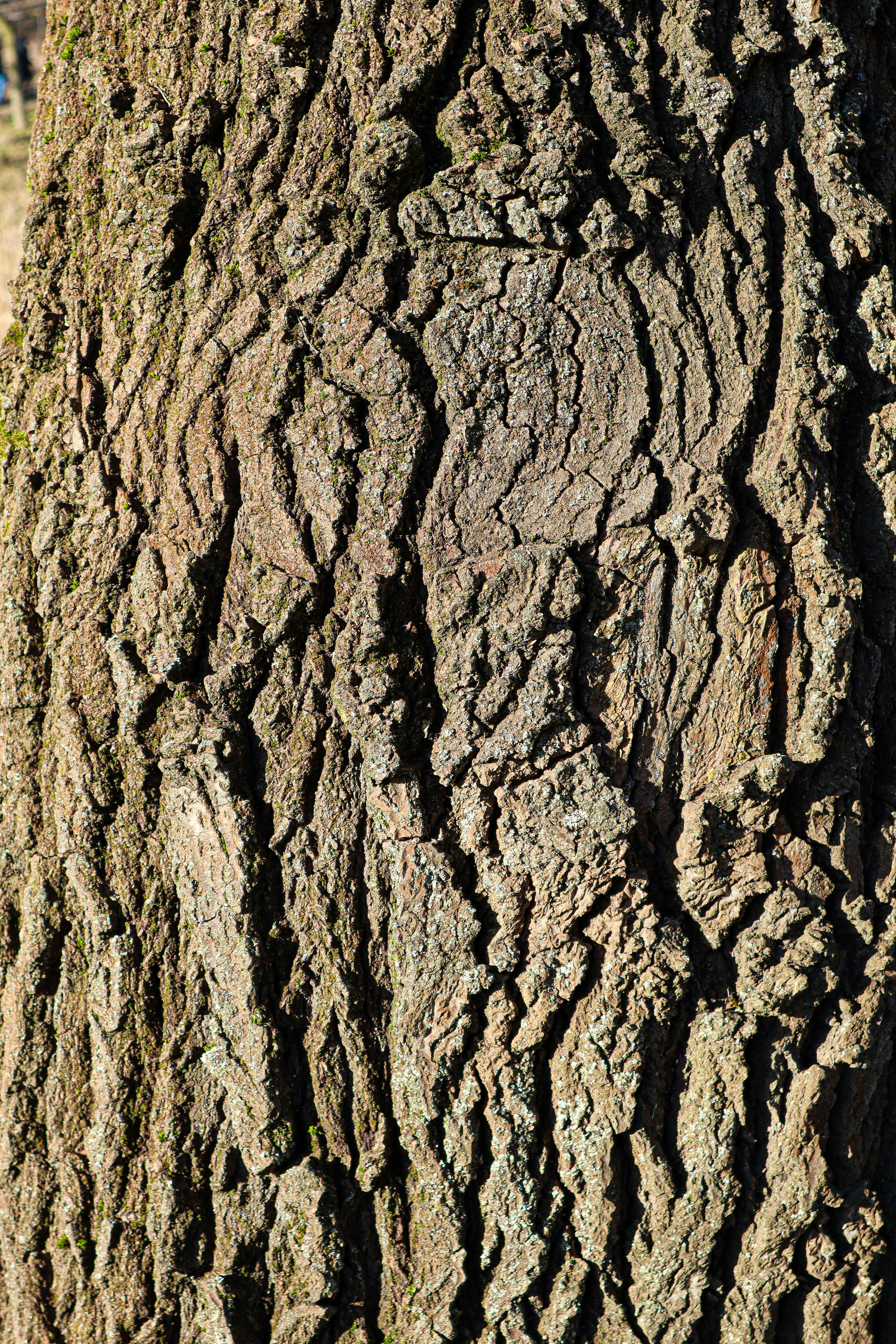 Photo by mugabo_library