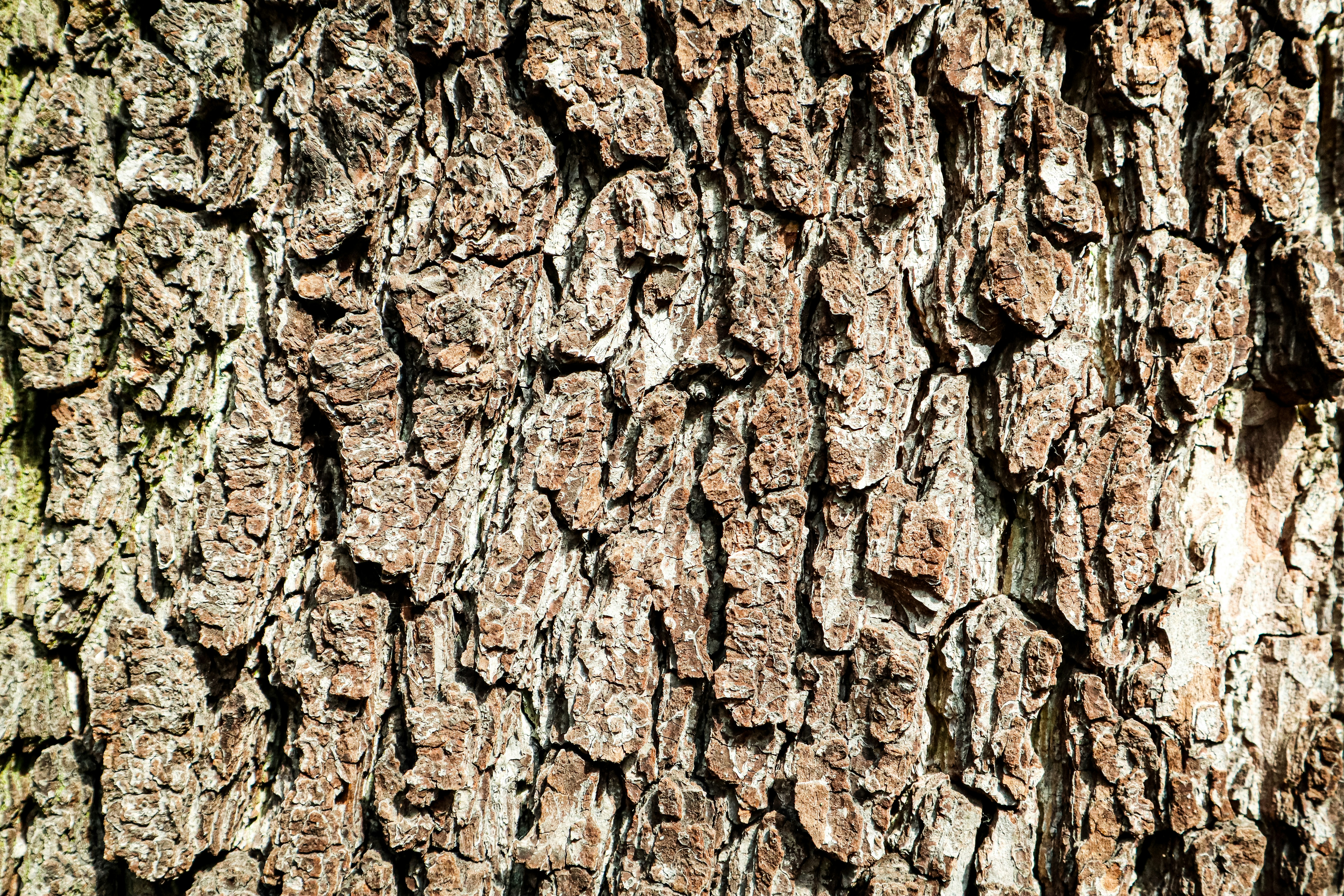 Photo by mugabo_library