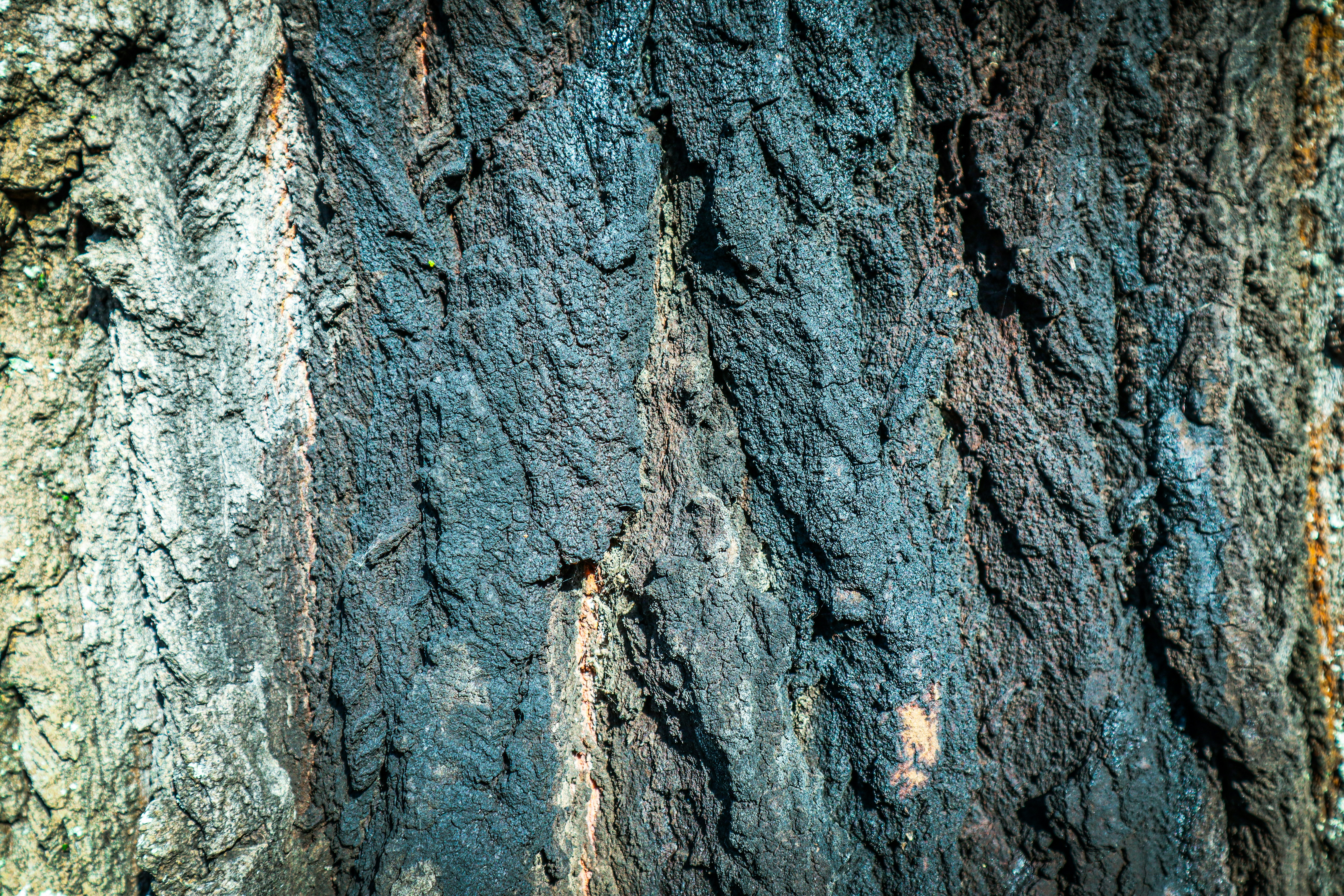 Photo by mugabo_library