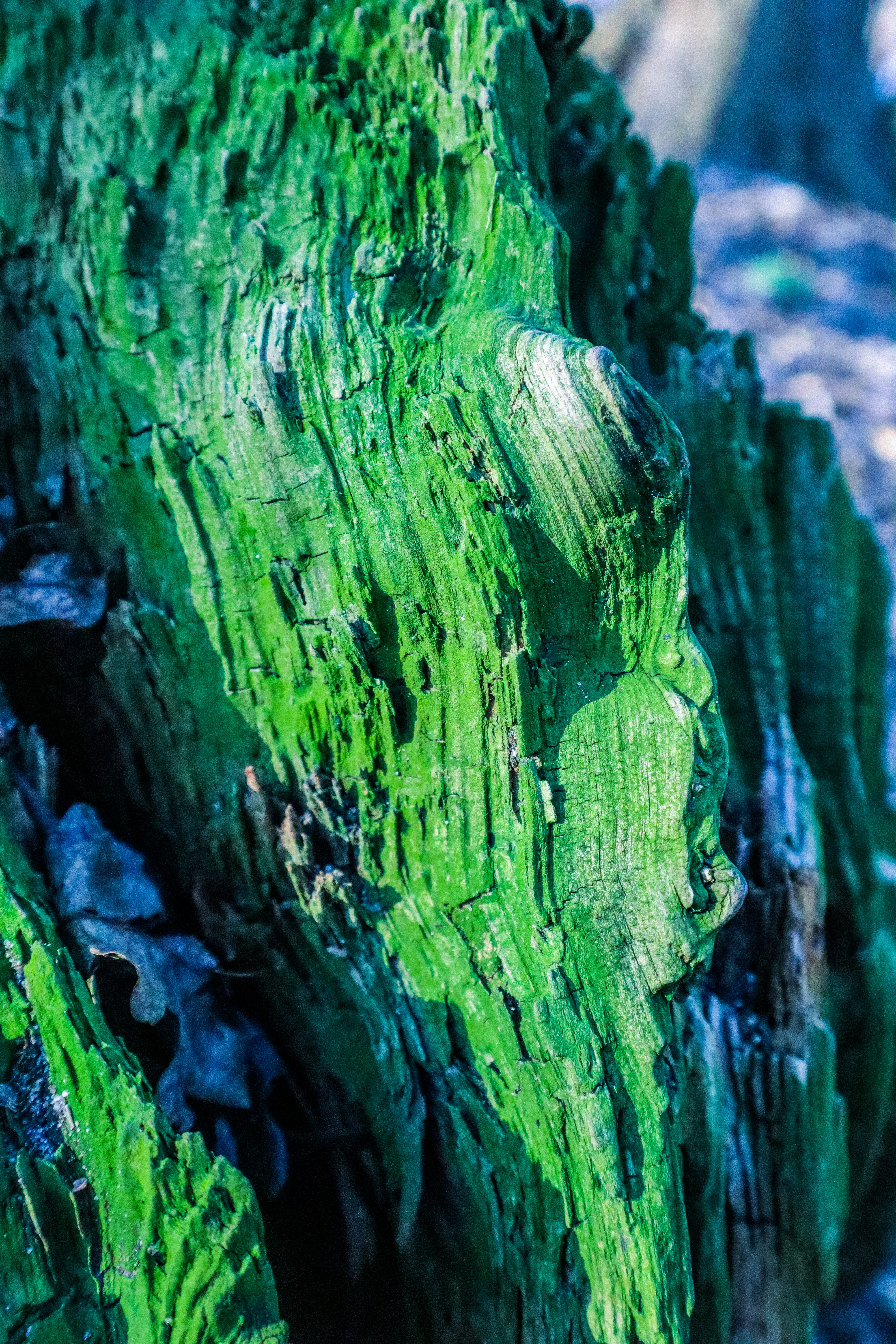 Photo by mugabo_library