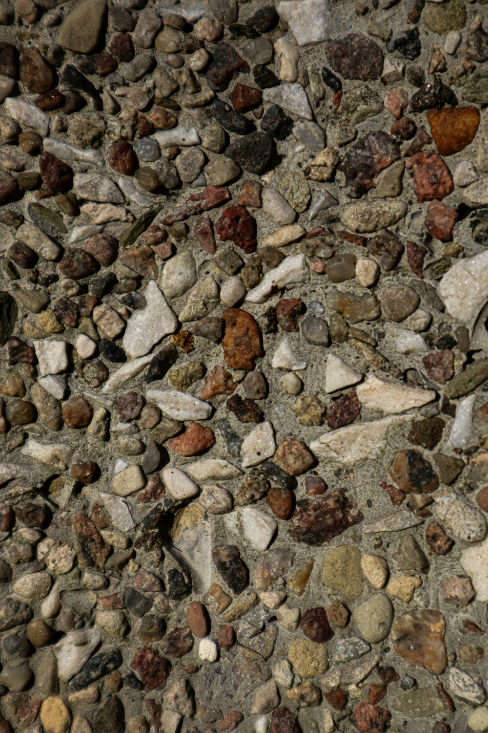 a bird is sitting on a rock wall