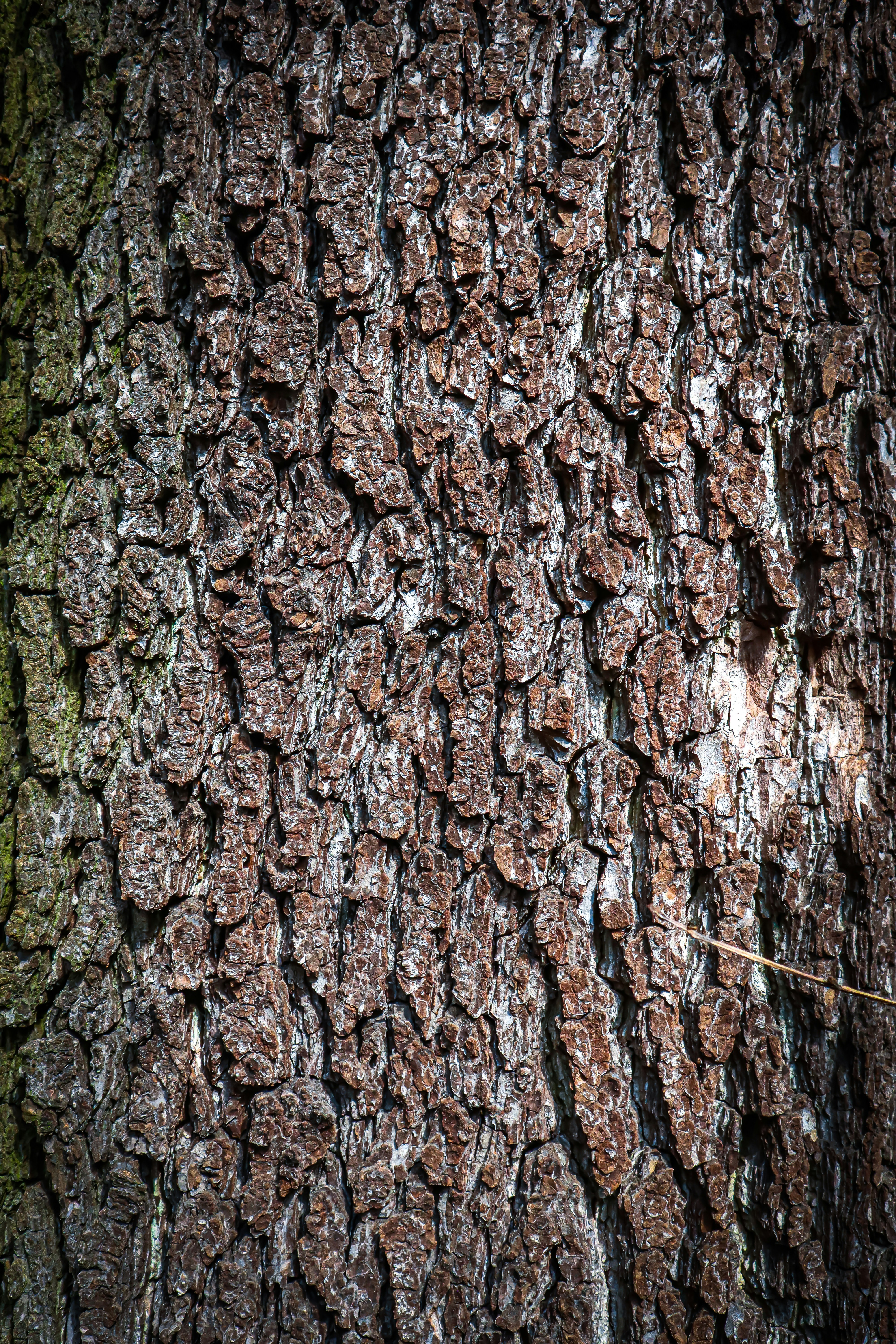 Photo by mugabo_library