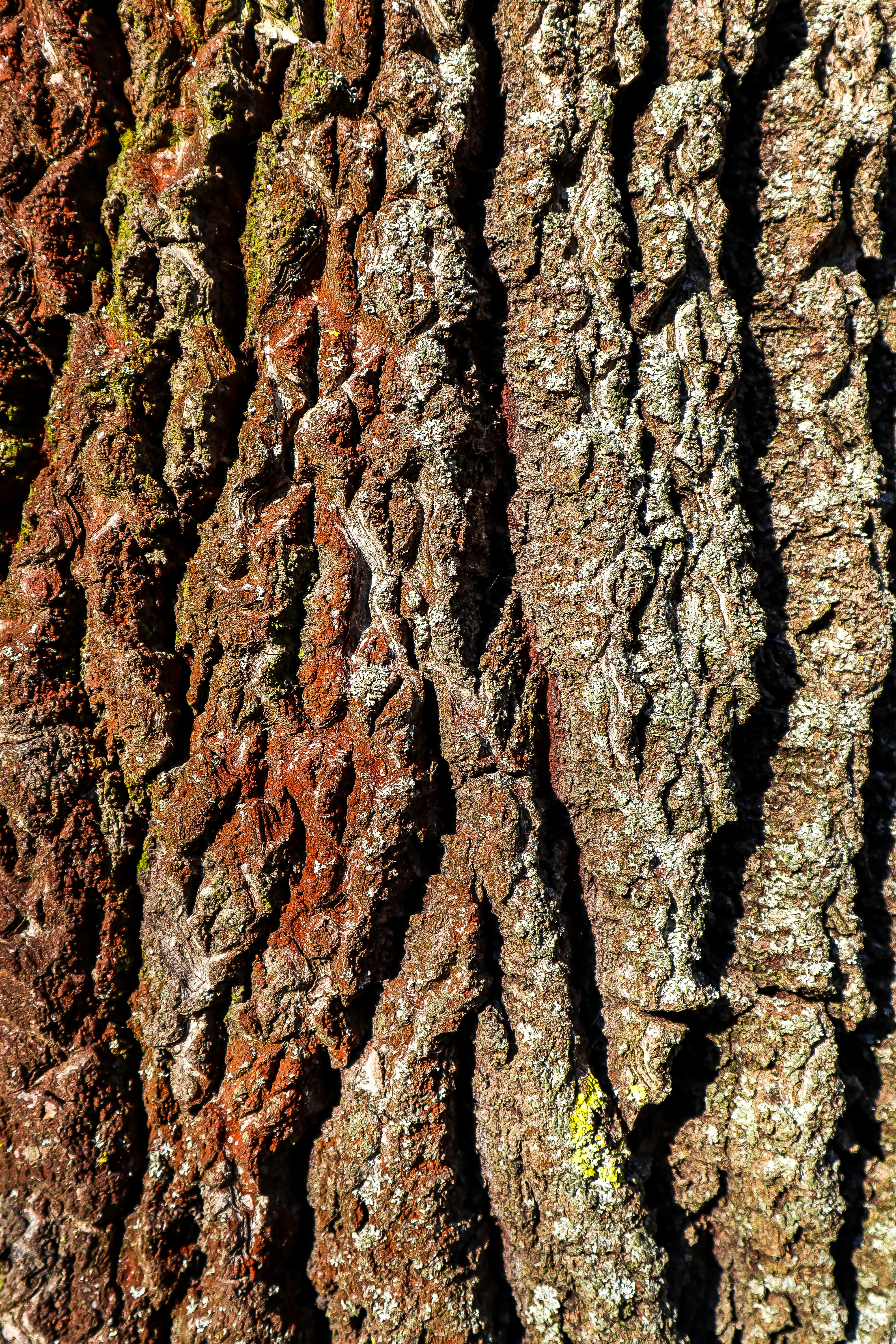 Photo by mugabo_library