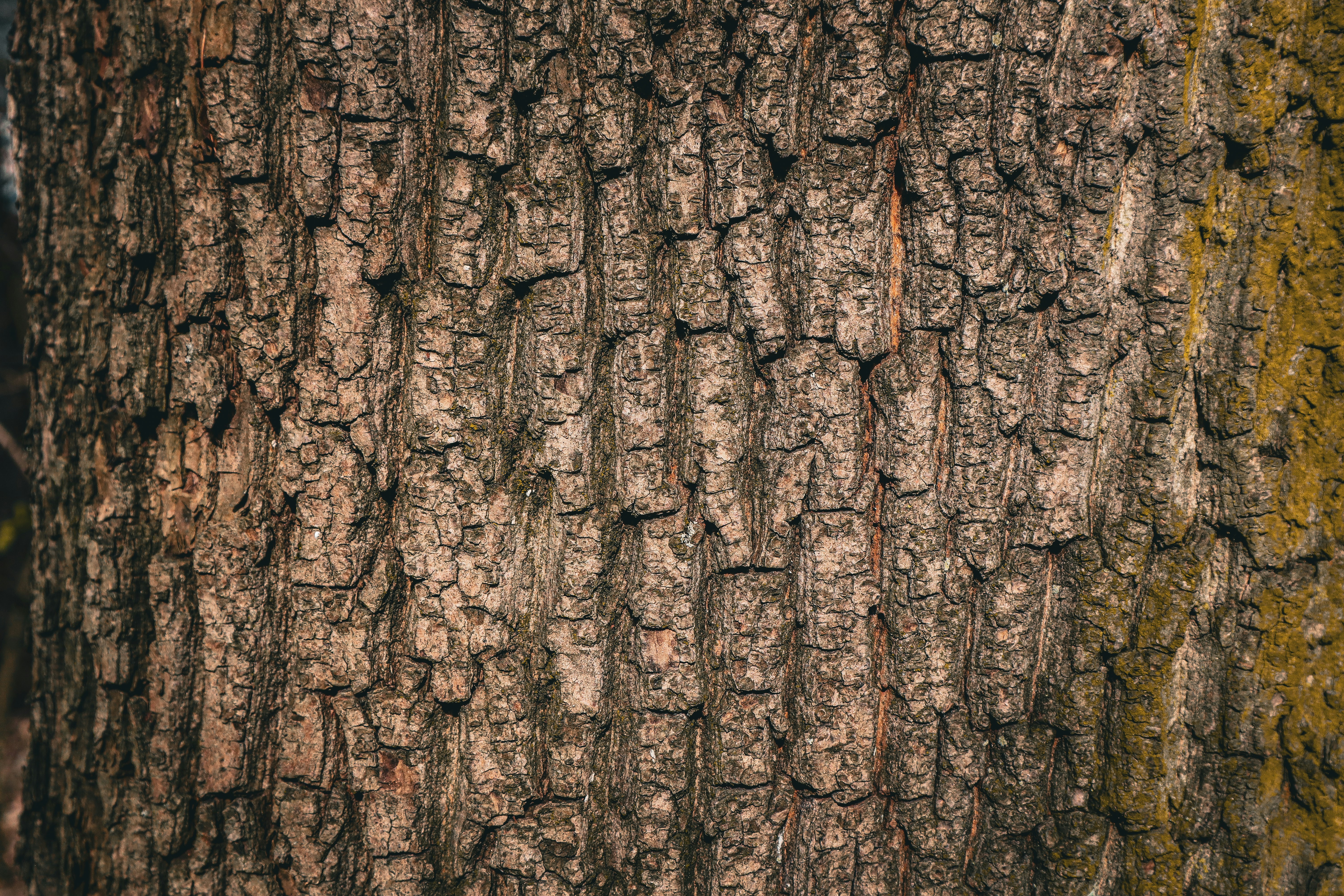 Photo by mugabo_library