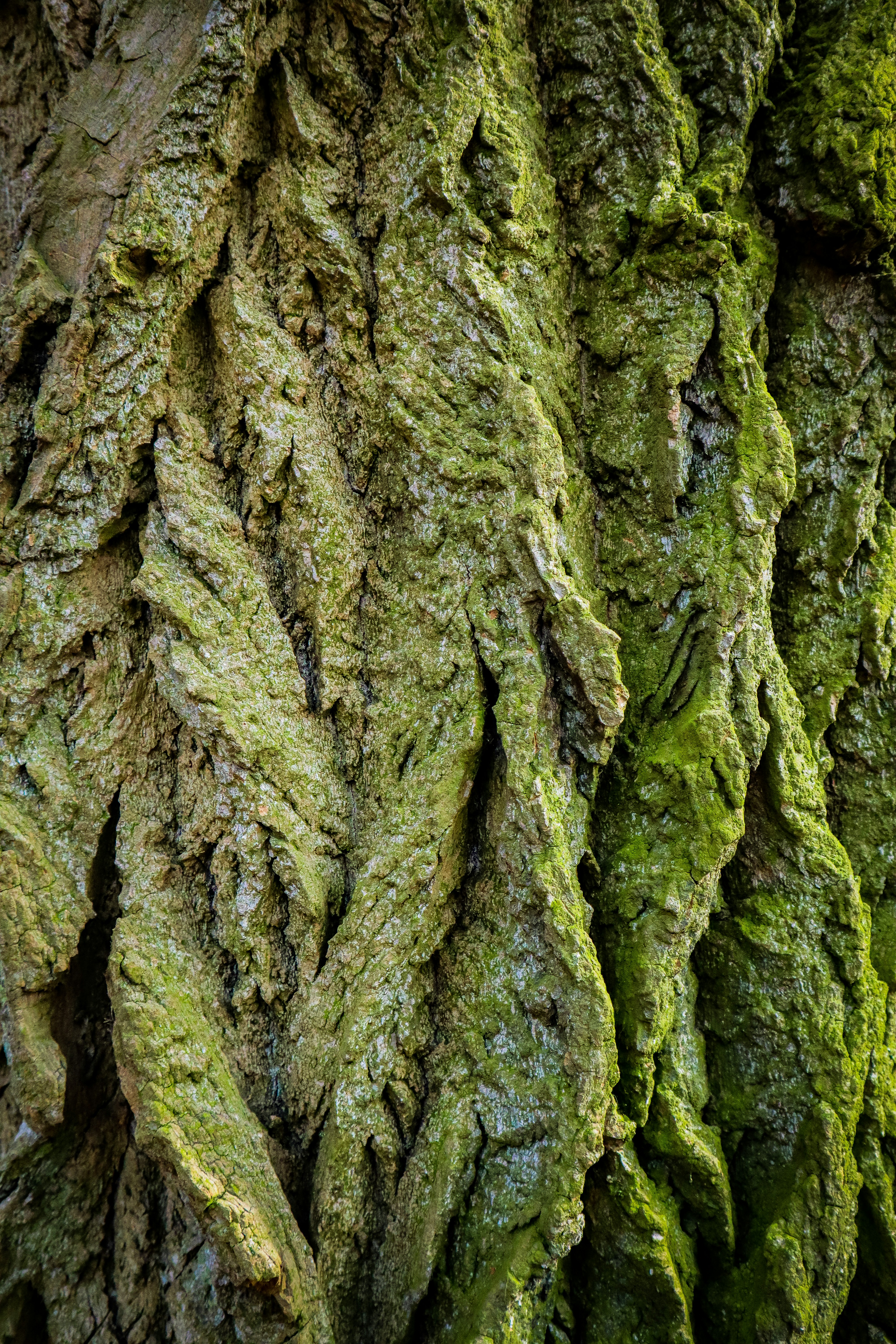 Photo by mugabo_library