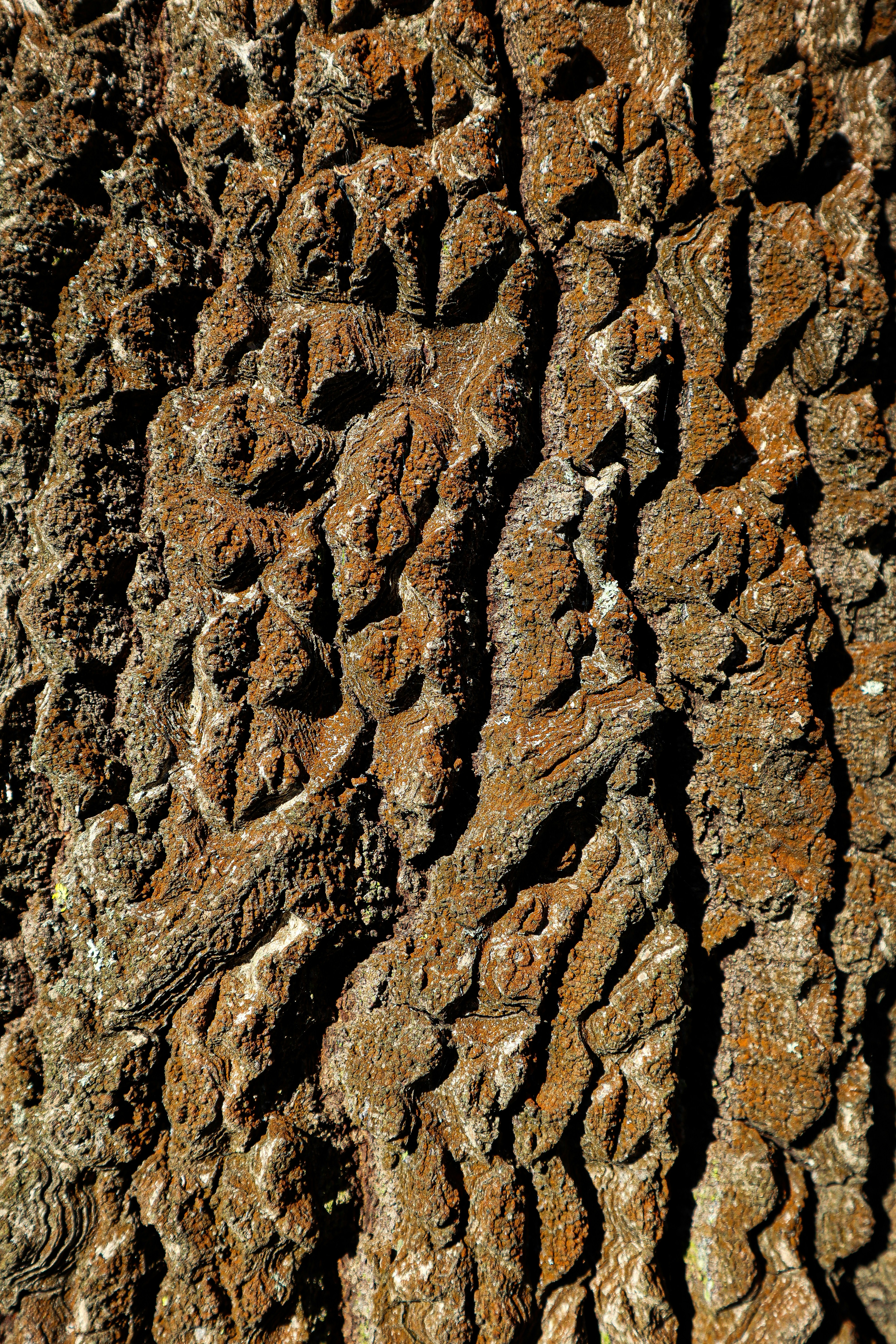 Photo by mugabo_library