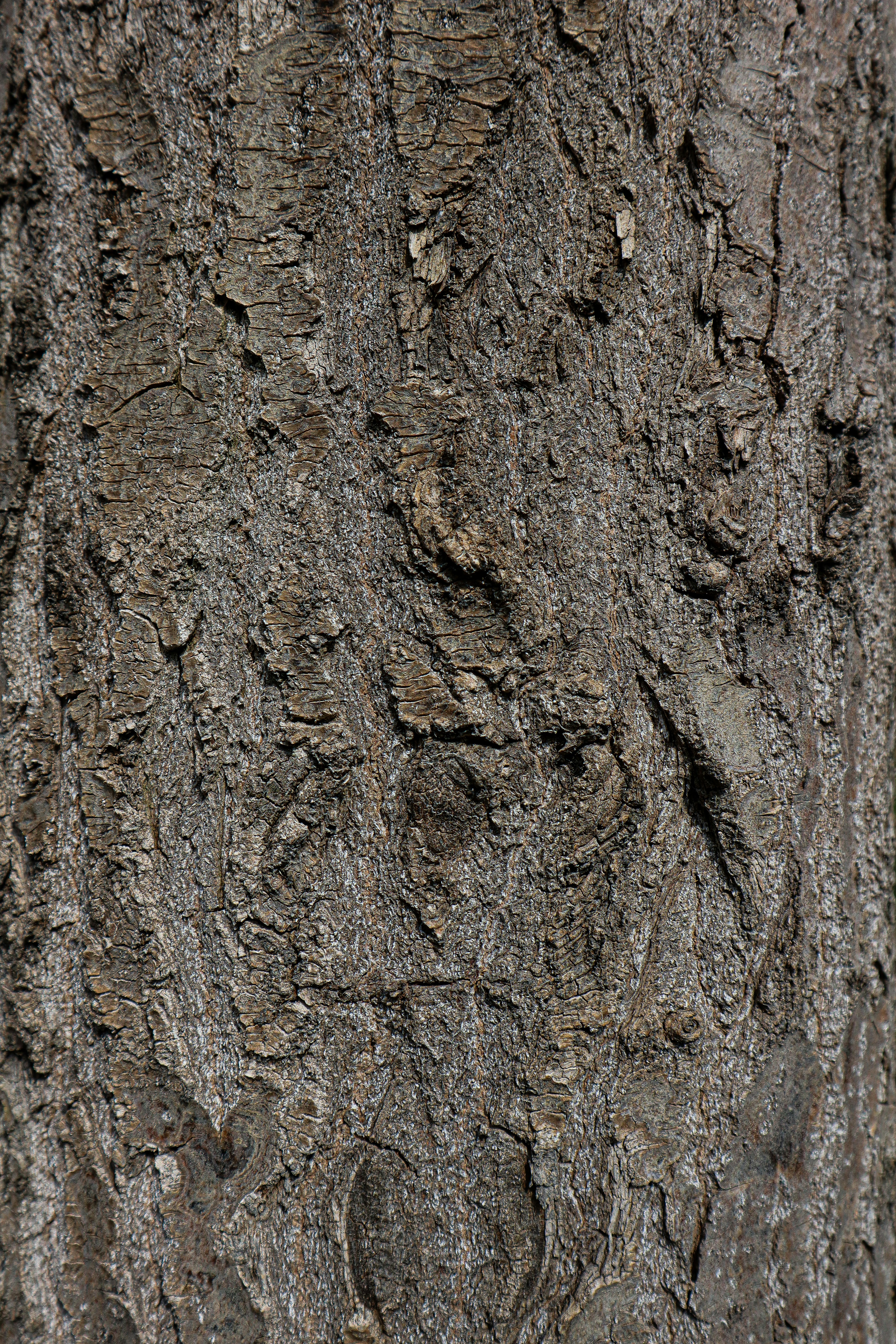 Photo by mugabo_library