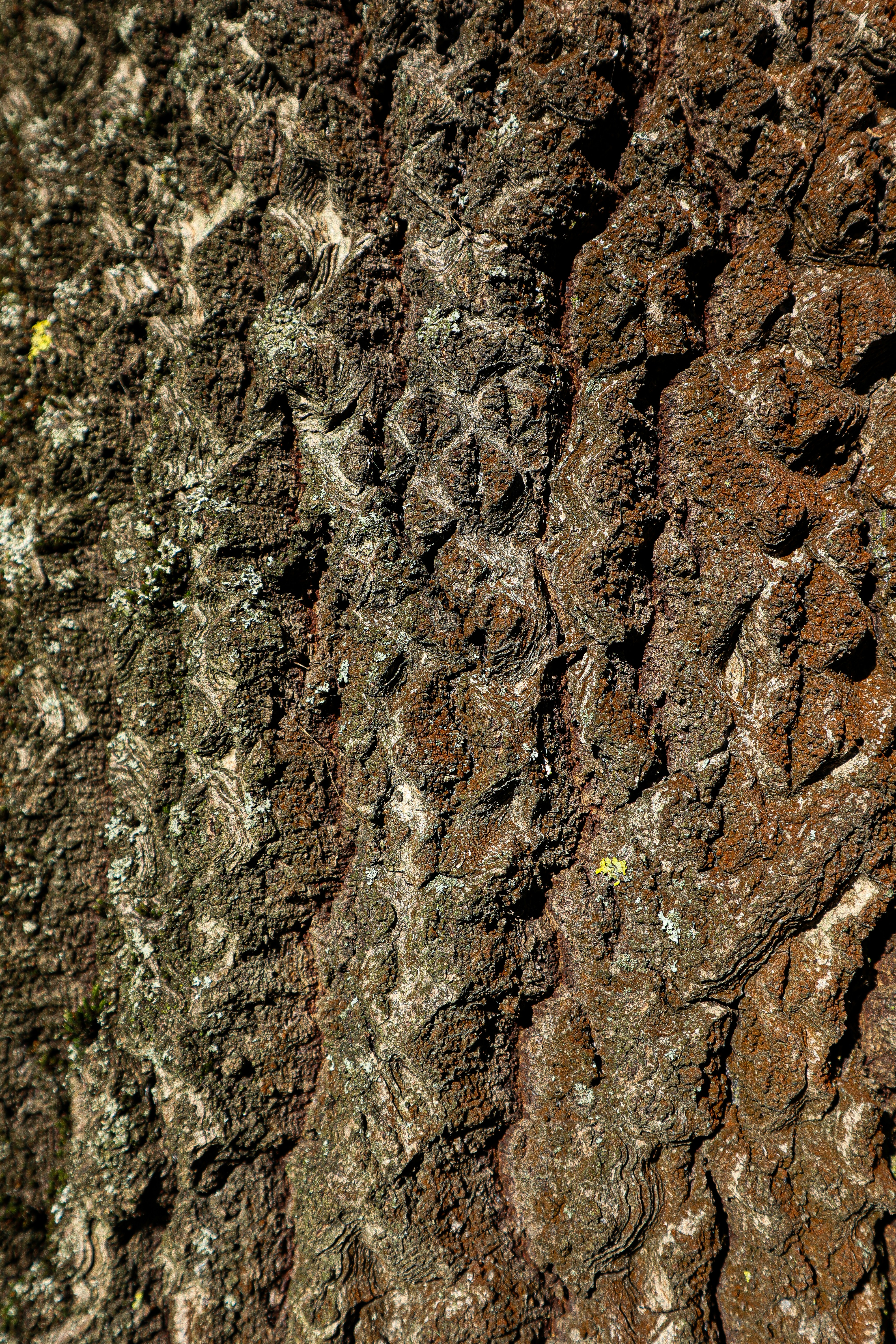 Photo by mugabo_library