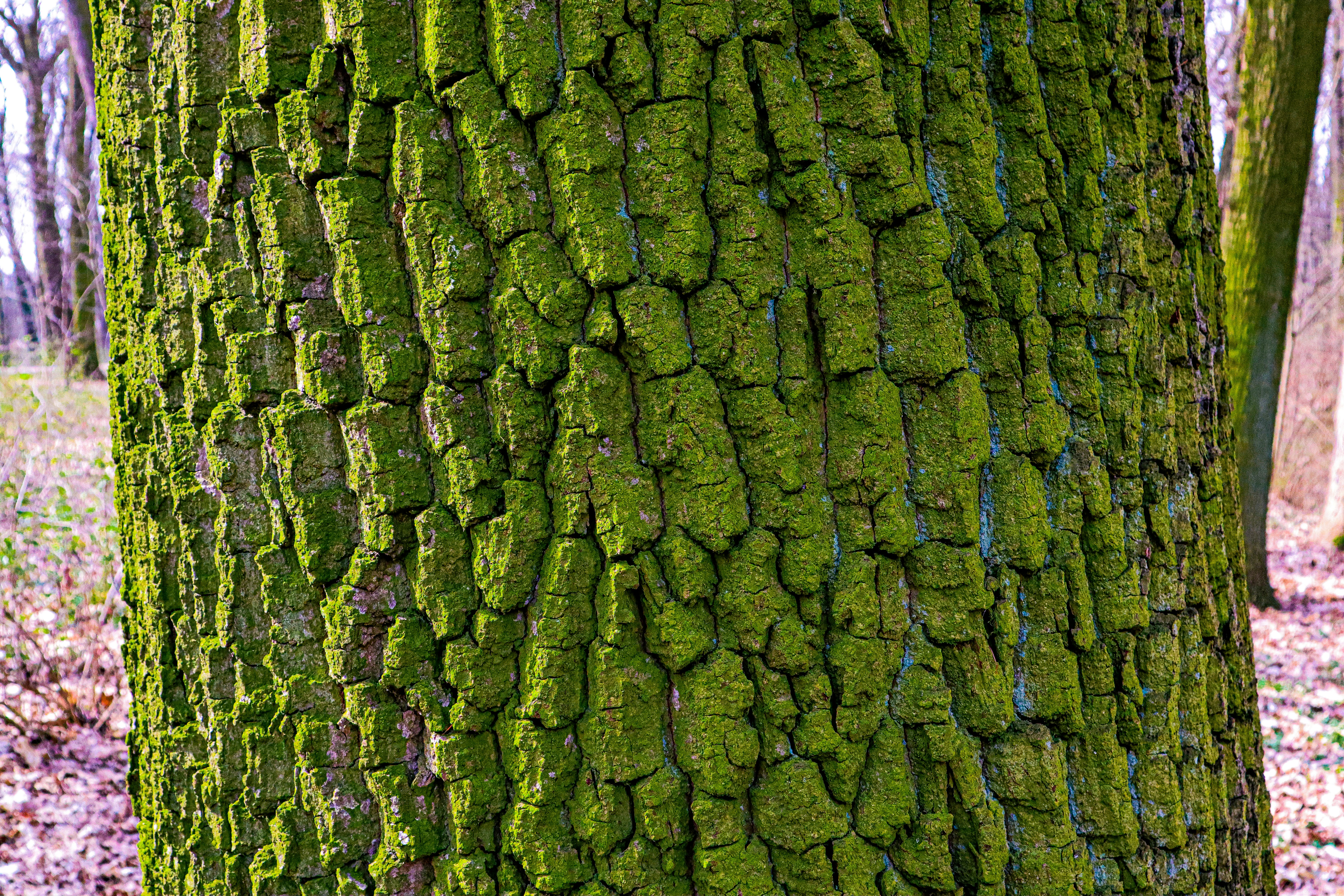 Photo by mugabo_library