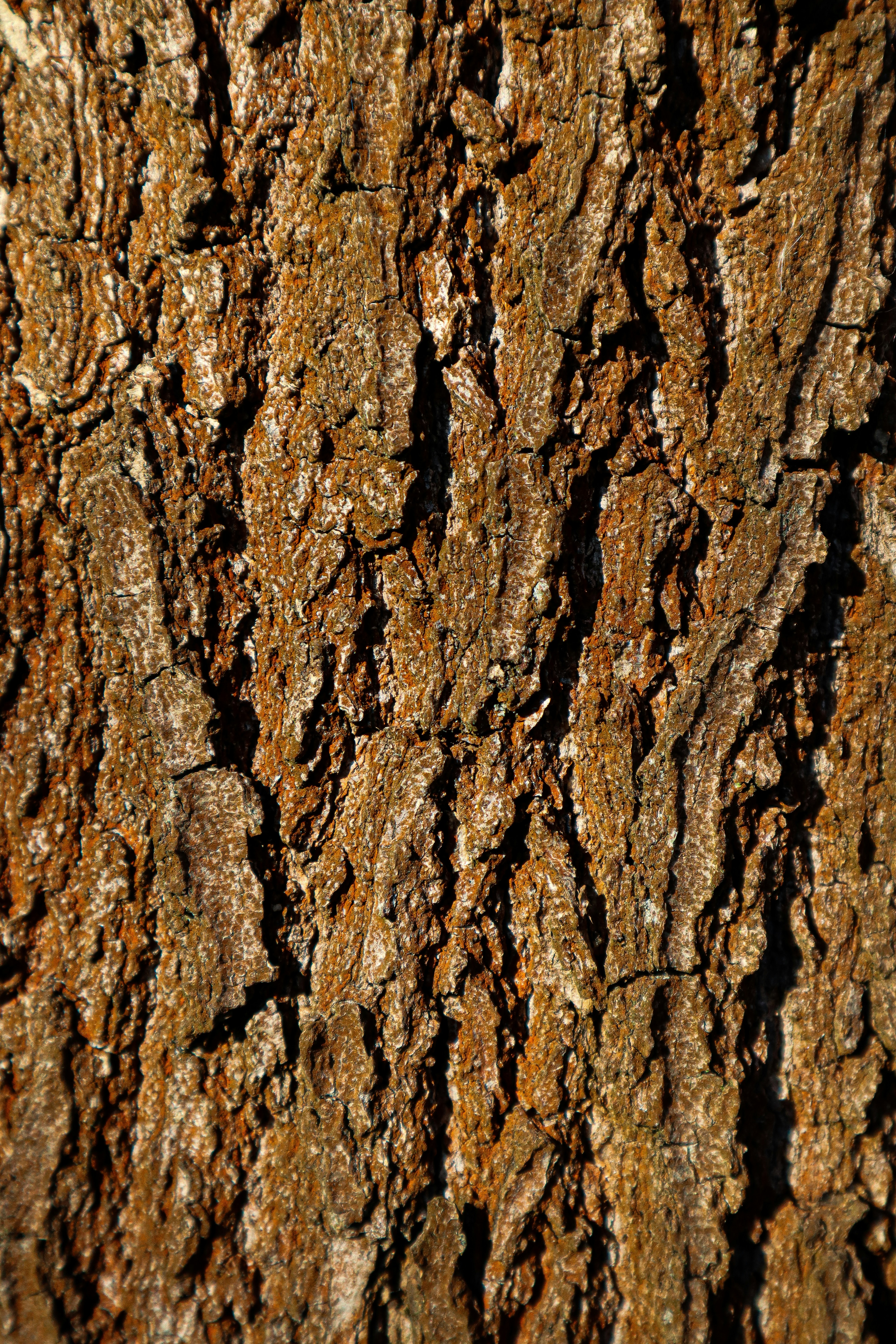 Photo by mugabo_library