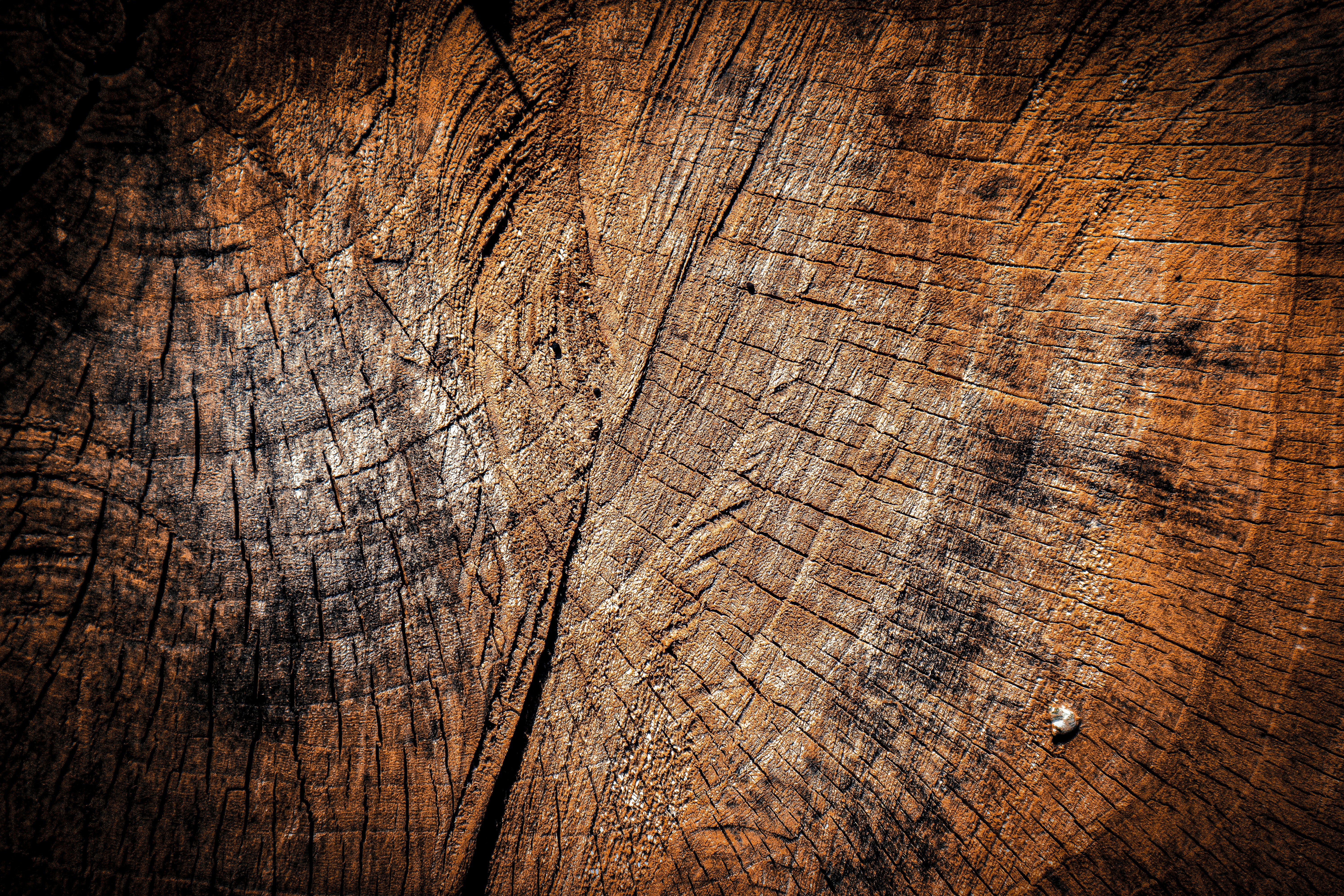 a piece of wood that has been cut in half