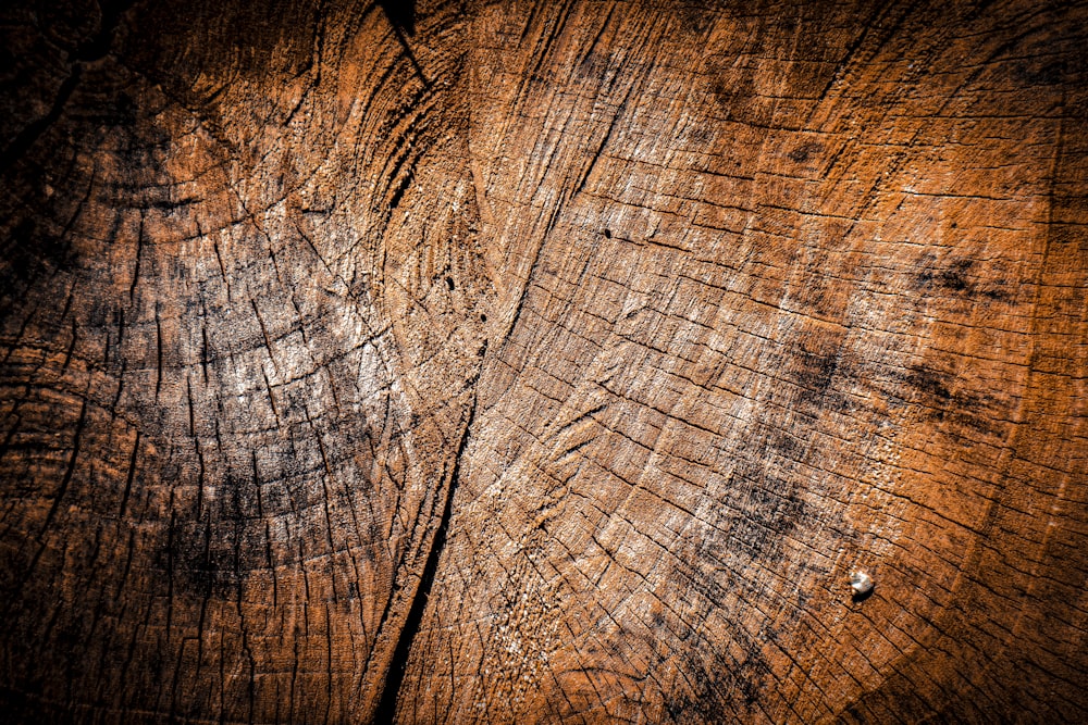 a piece of wood that has been cut in half