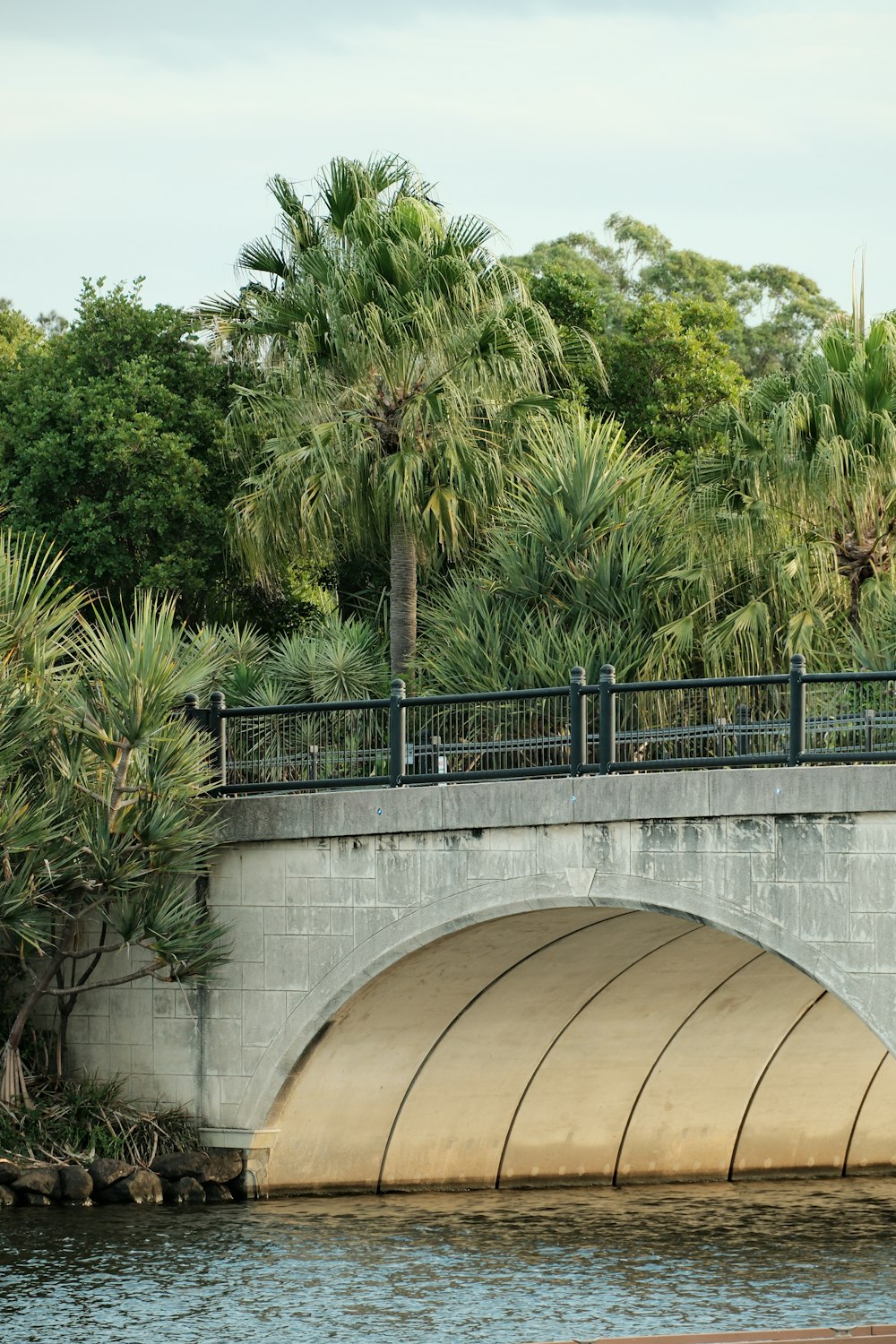 a bridge over a body of water with palm trees in the background