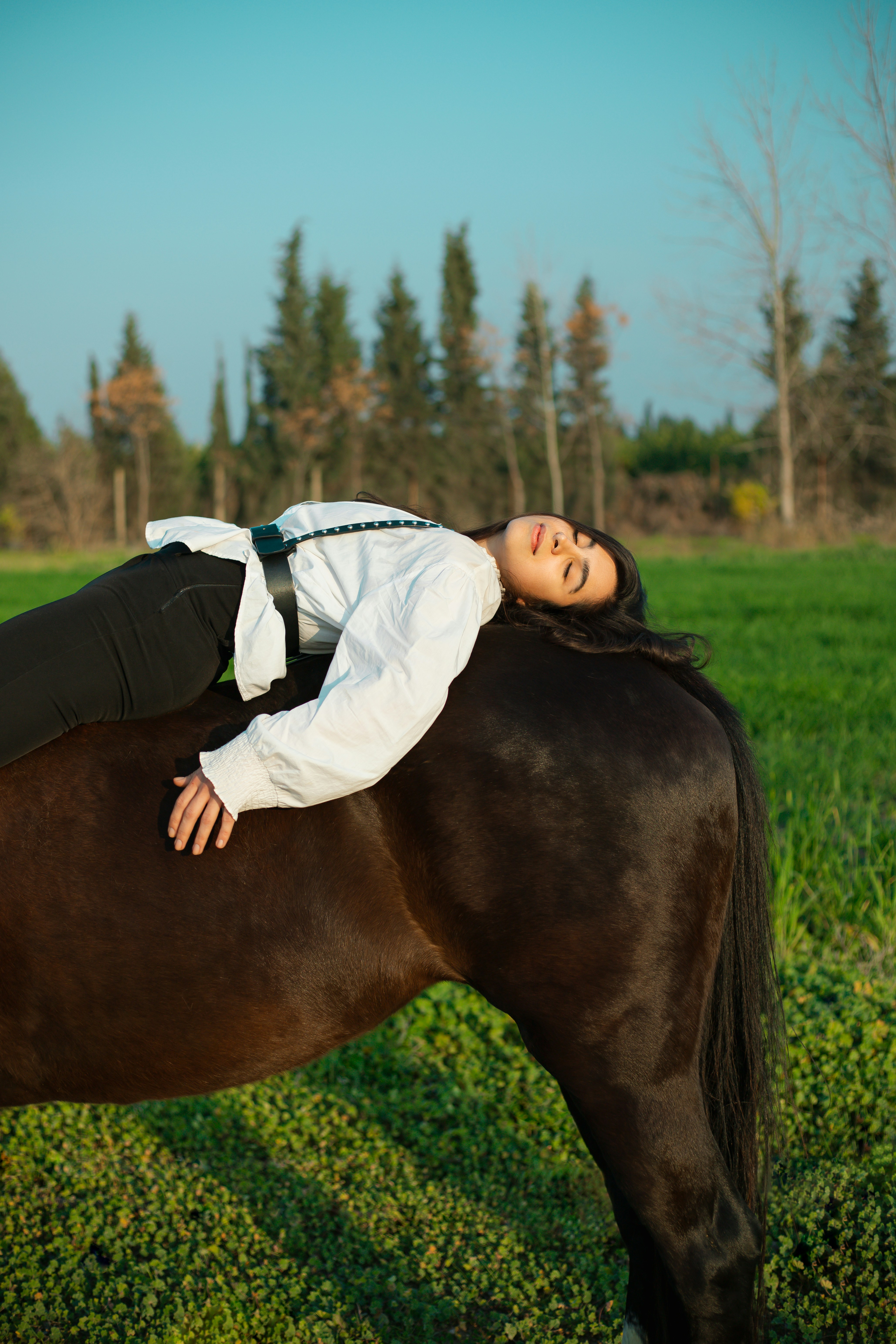 8 Horse Riding Tips to Strengthen Your Core for Better Control