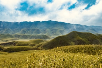 a grassy field with mountains in the background
