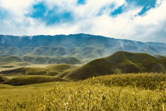 a grassy field with mountains in the background