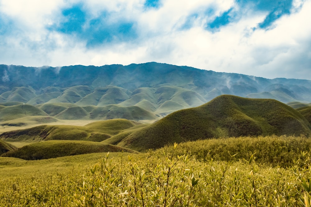 a grassy field with mountains in the background