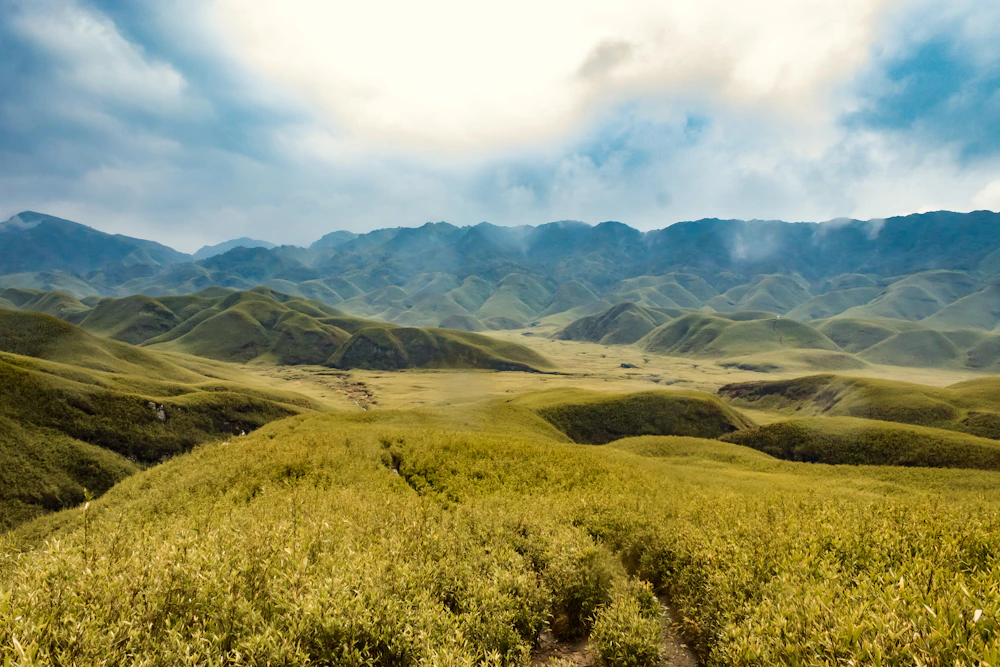 Green landscape of Dzükou Valley in Nagaland