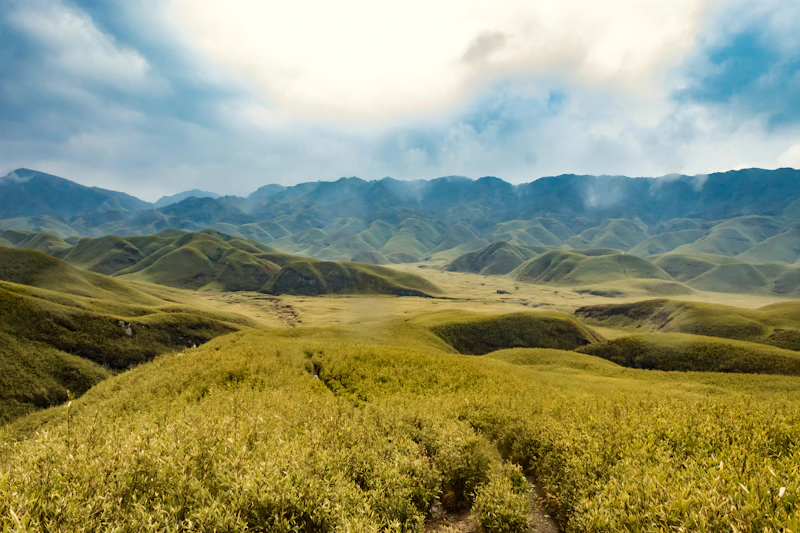 Green Dzükou Valley landscape in Nagaland