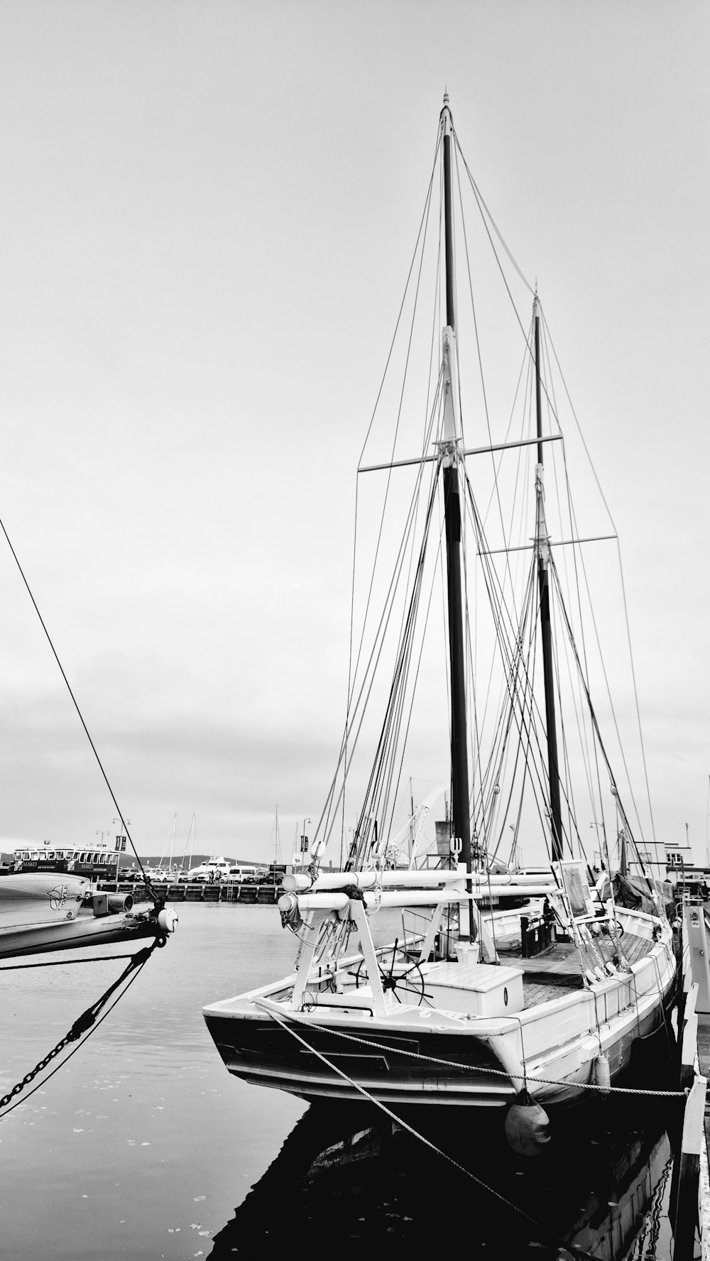 水中のヨットの白黒写真