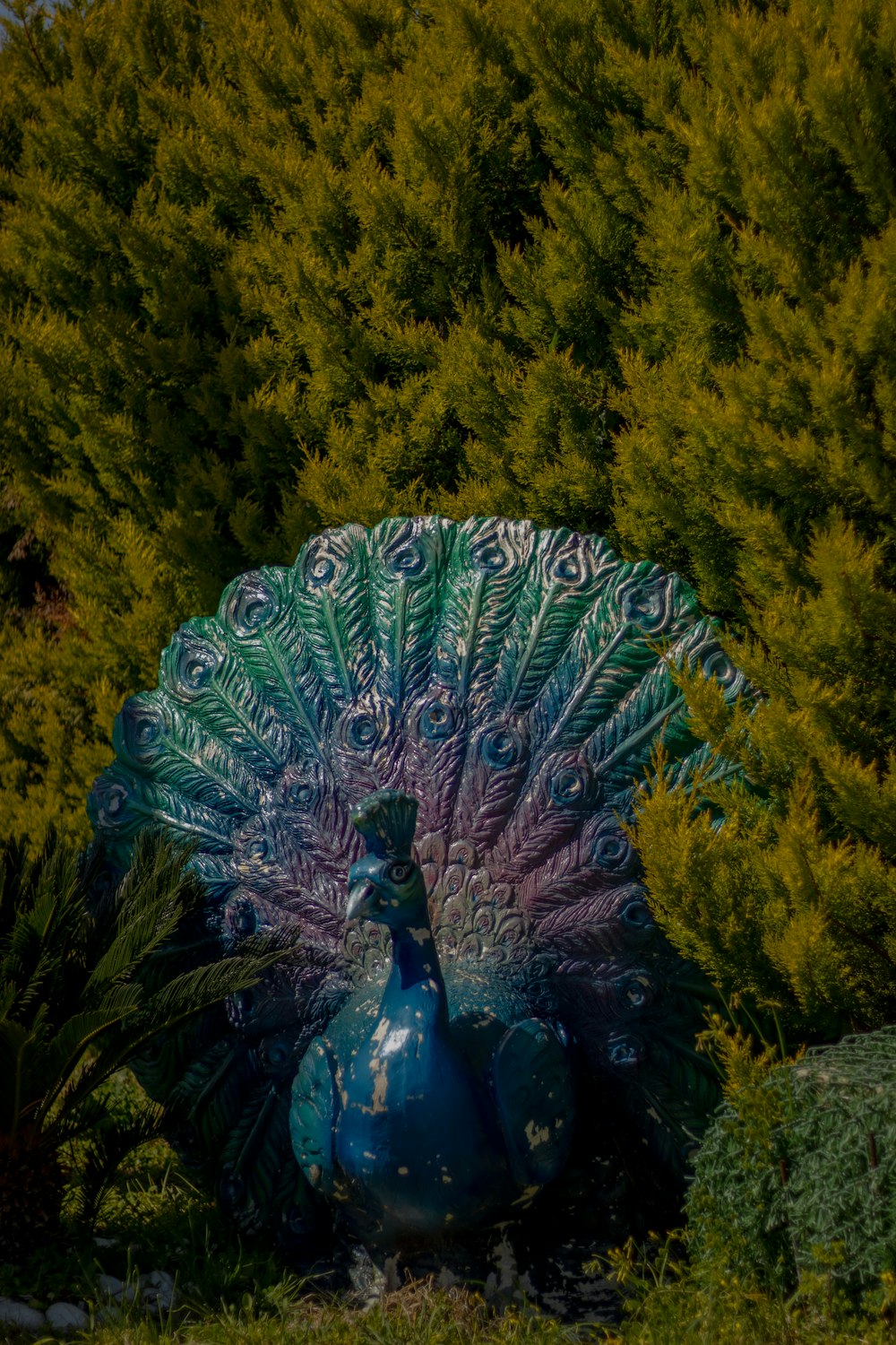 a peacock statue sitting in the middle of a garden