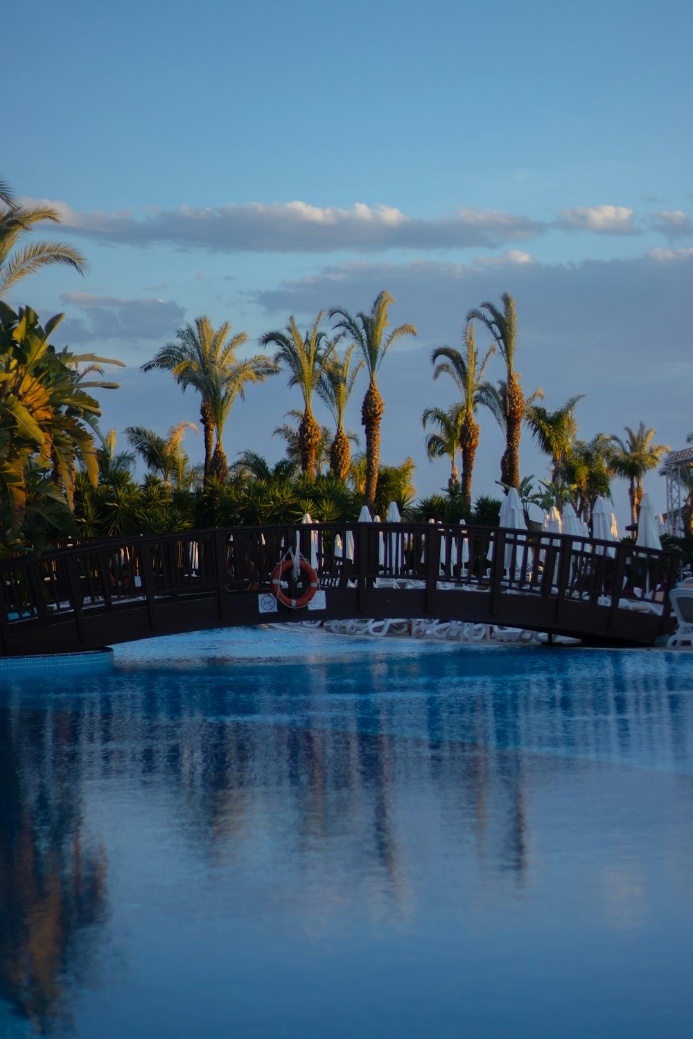 a large swimming pool with palm trees in the background