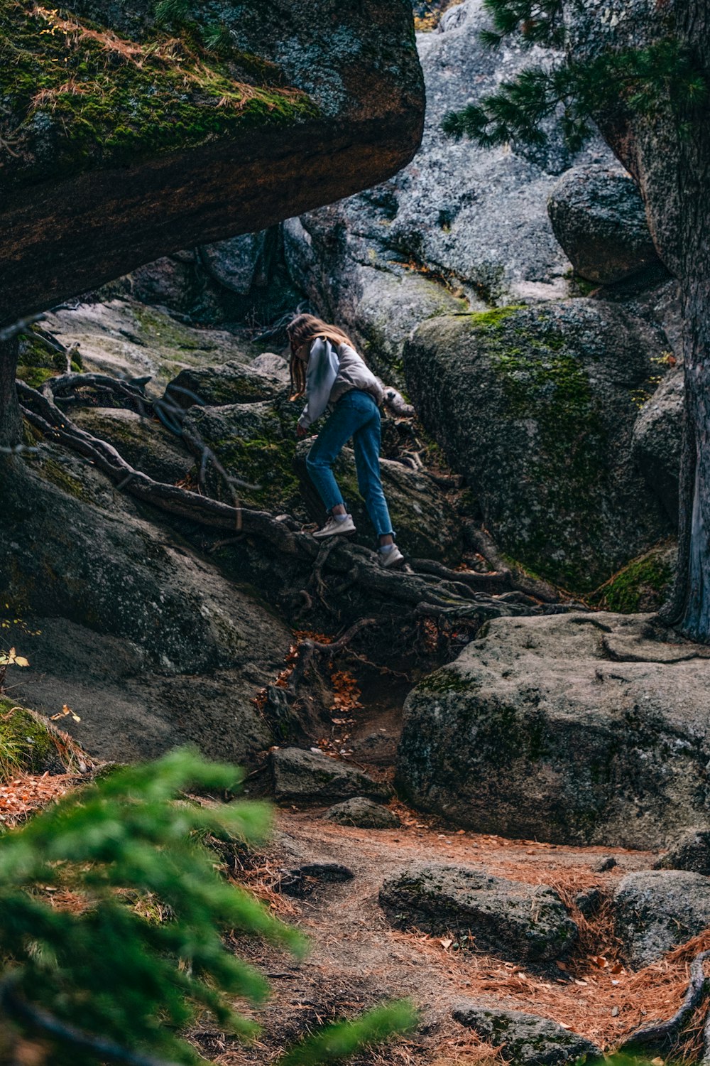 a person standing on a tree branch in the woods