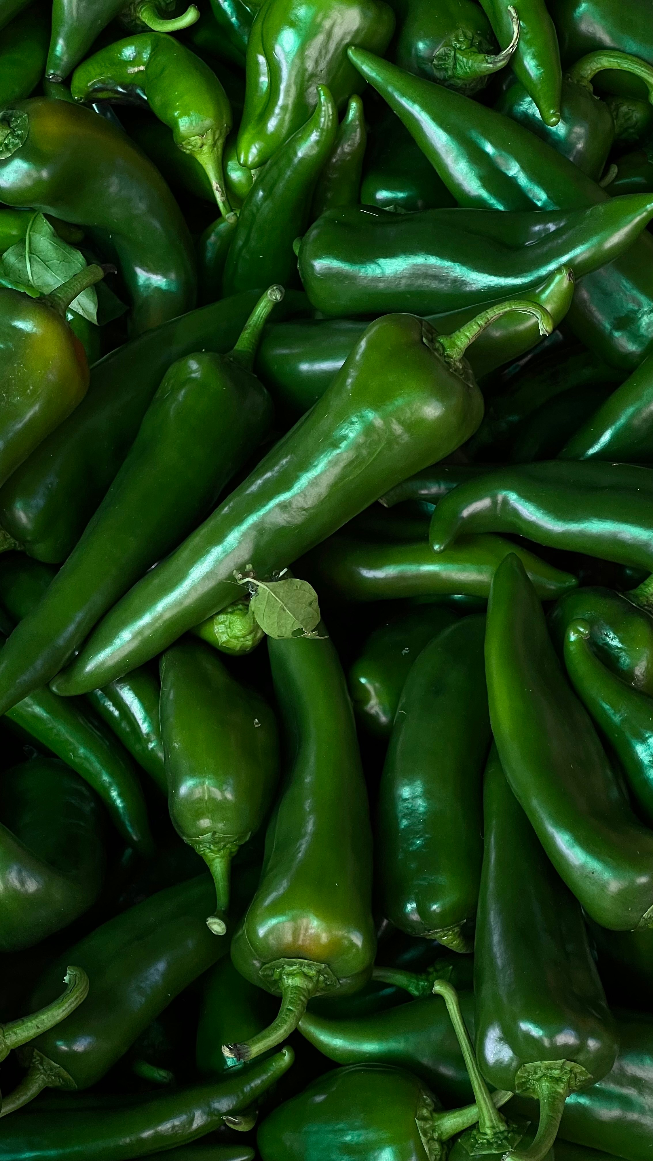 Bright green chillies in a cluster, fresh and glossy, market produce