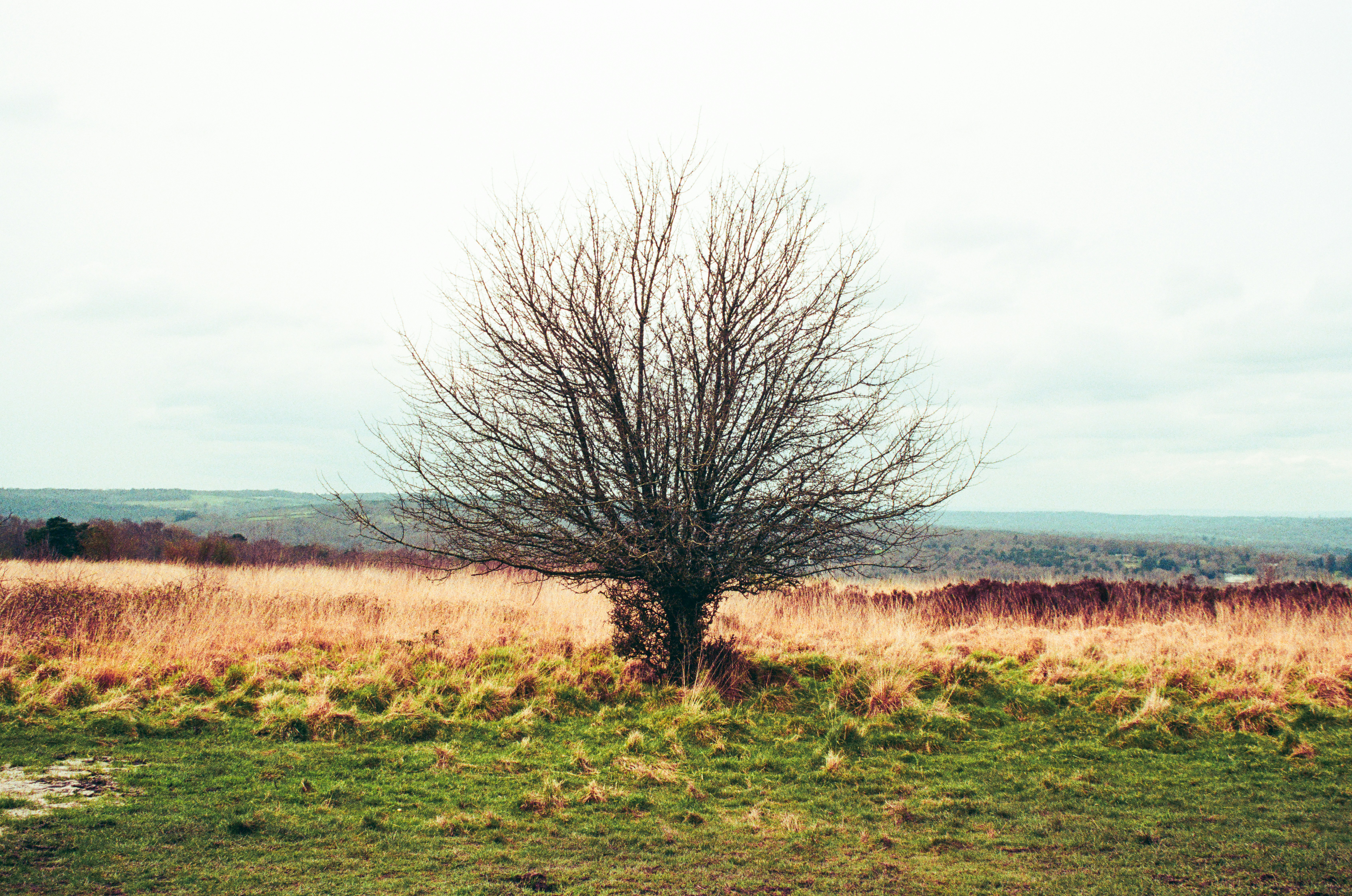 Photo by ashleygorringe