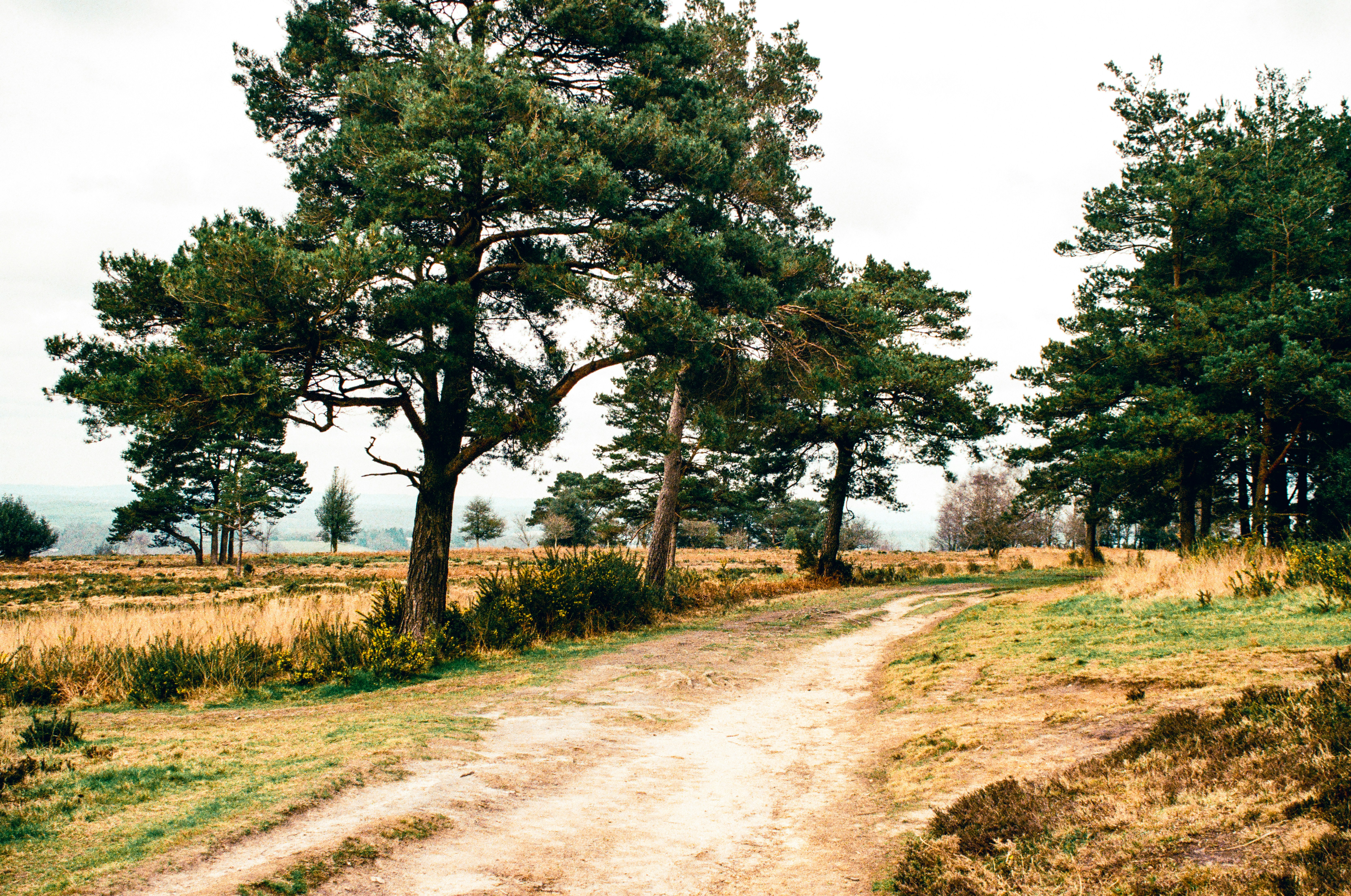 Photo by ashleygorringe