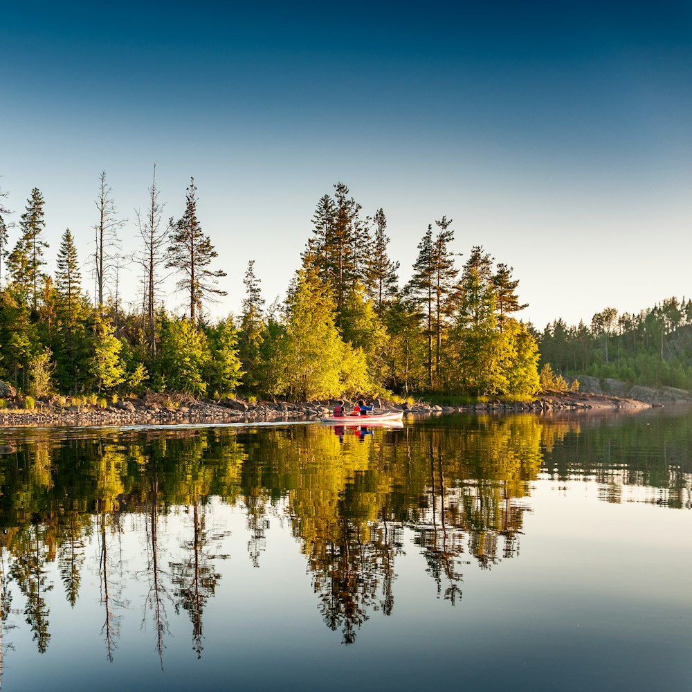 a boat on a lake surrounded by trees