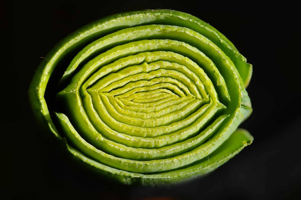 a close up view of a green flower