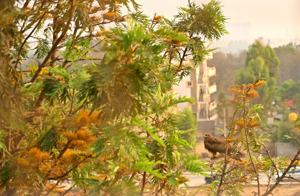 a bird is perched on a tree branch