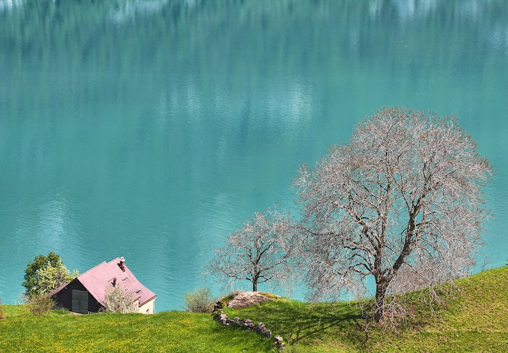 a house on a hill overlooking a lake